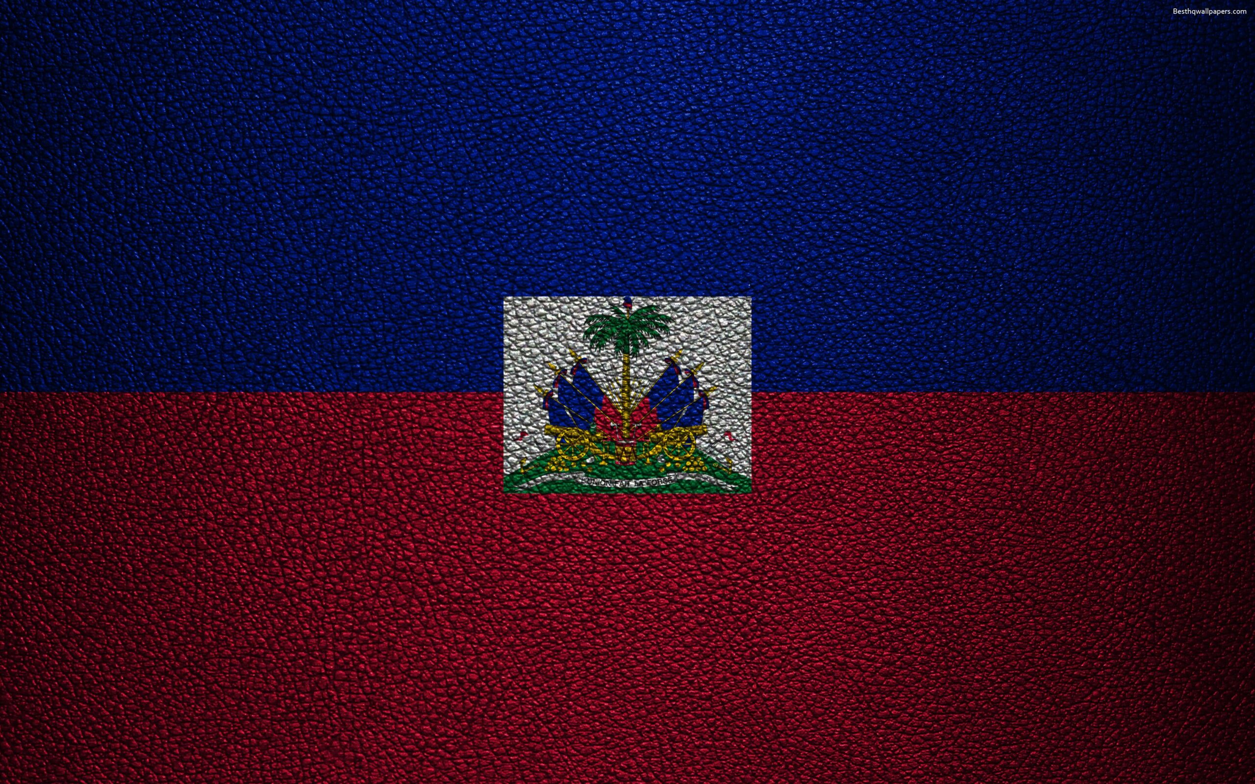 Download wallpapers Flag of Haiti, 4K, leather texture, North