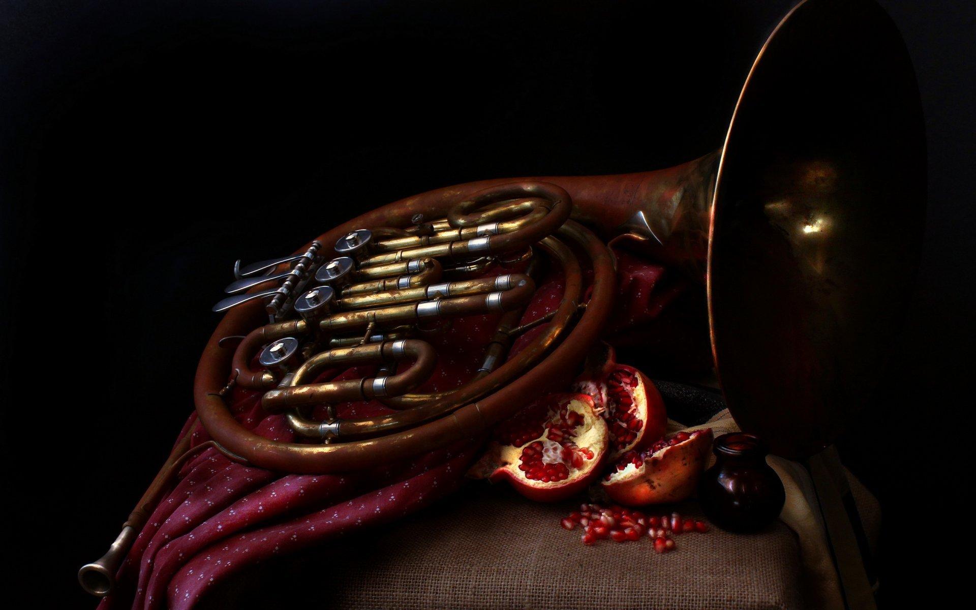 french horn pomegranates music HD wallpapers