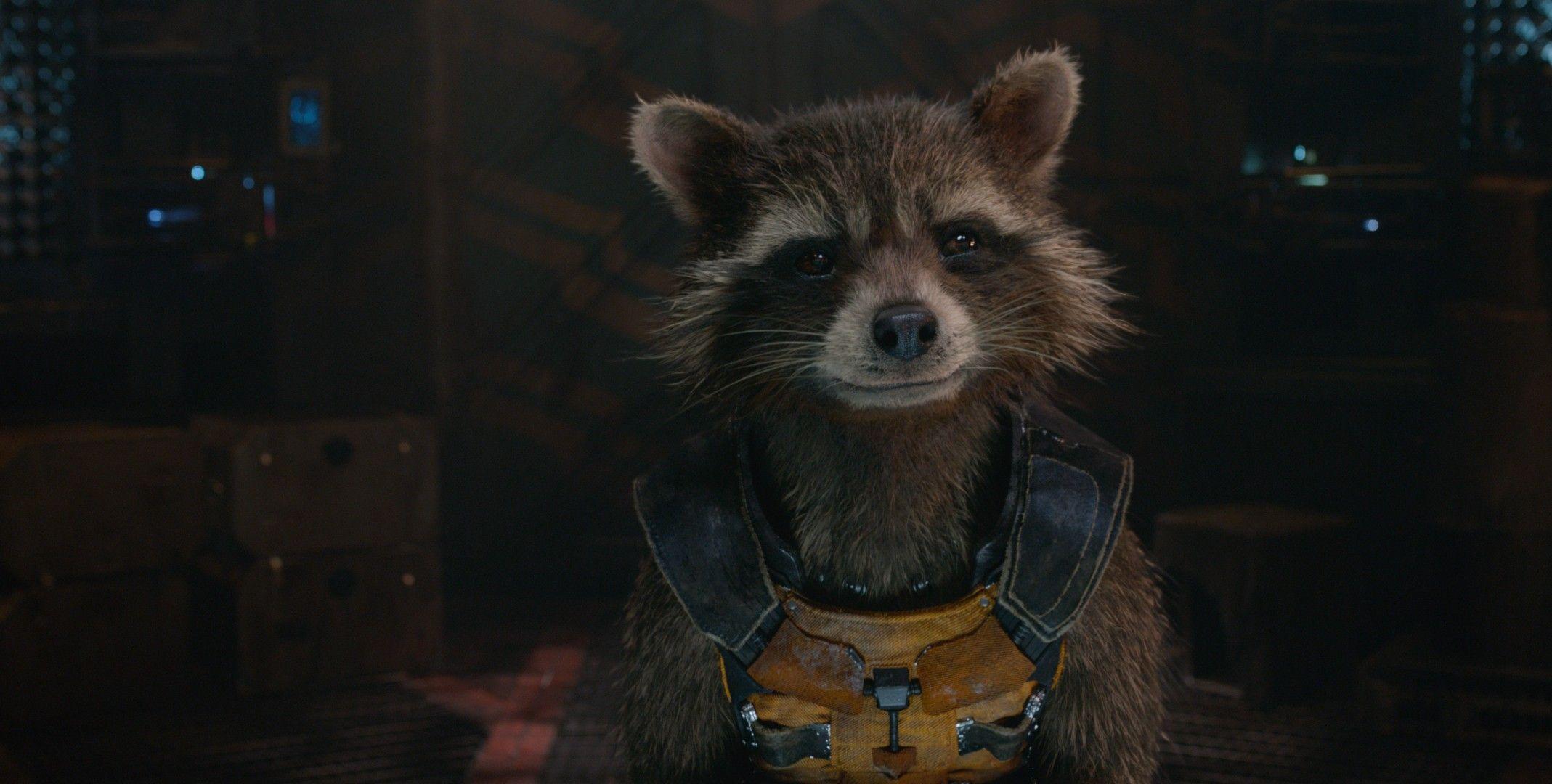 Rocket Raccoon Guardians Of The Galaxy