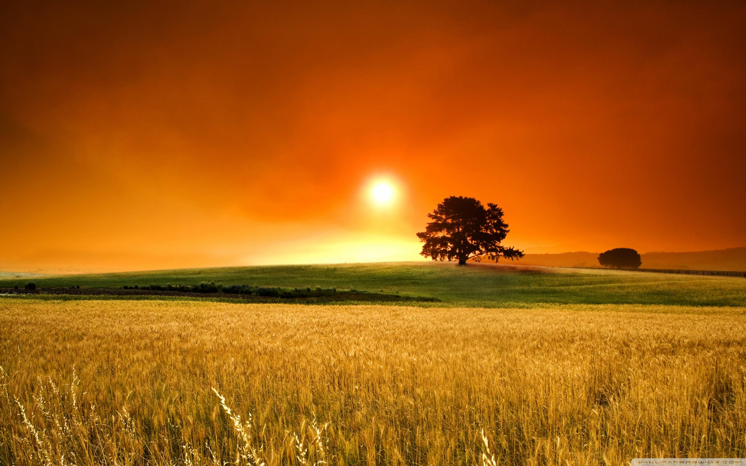 Summer Sunset Wallpapers Hd Backgrounds 8 HD Wallpapers