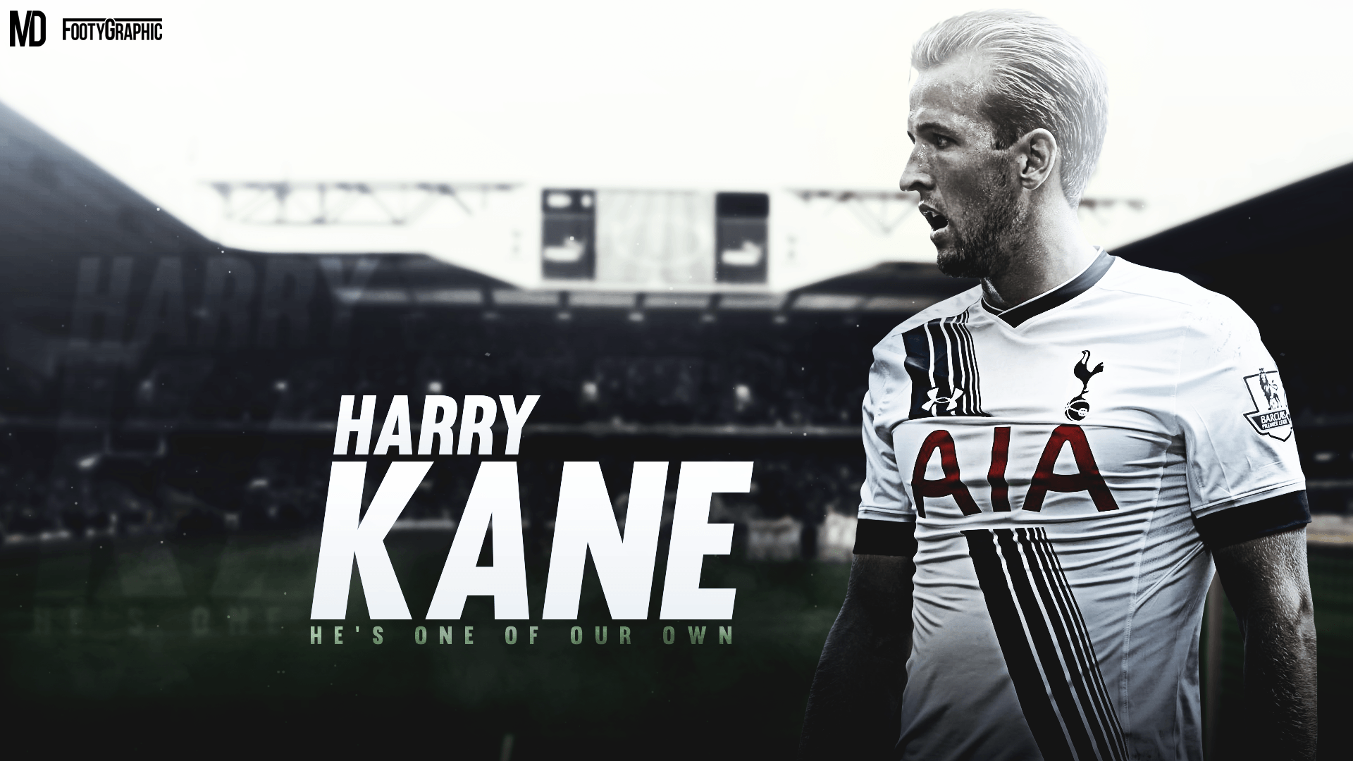 Harry Kane wallpapers