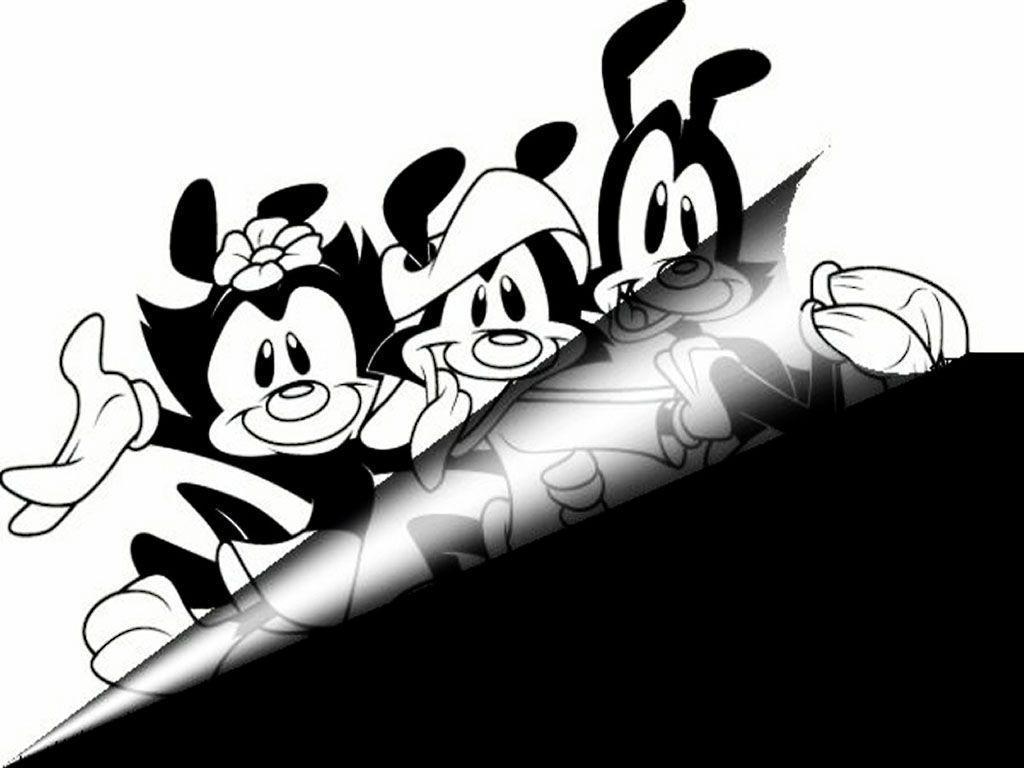 Animaniacs Wallpapers