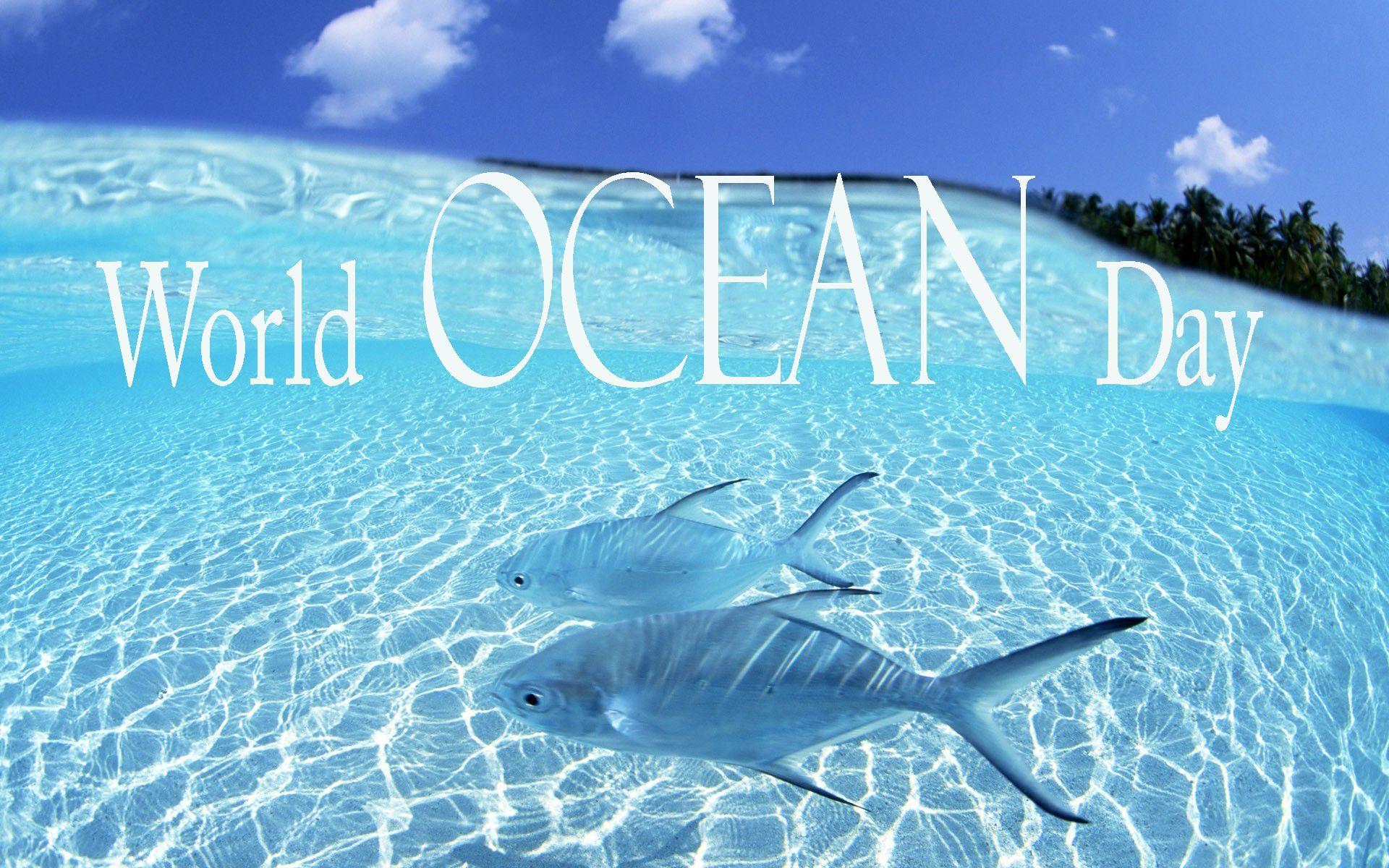 World Ocean Day Hd Wallpapers