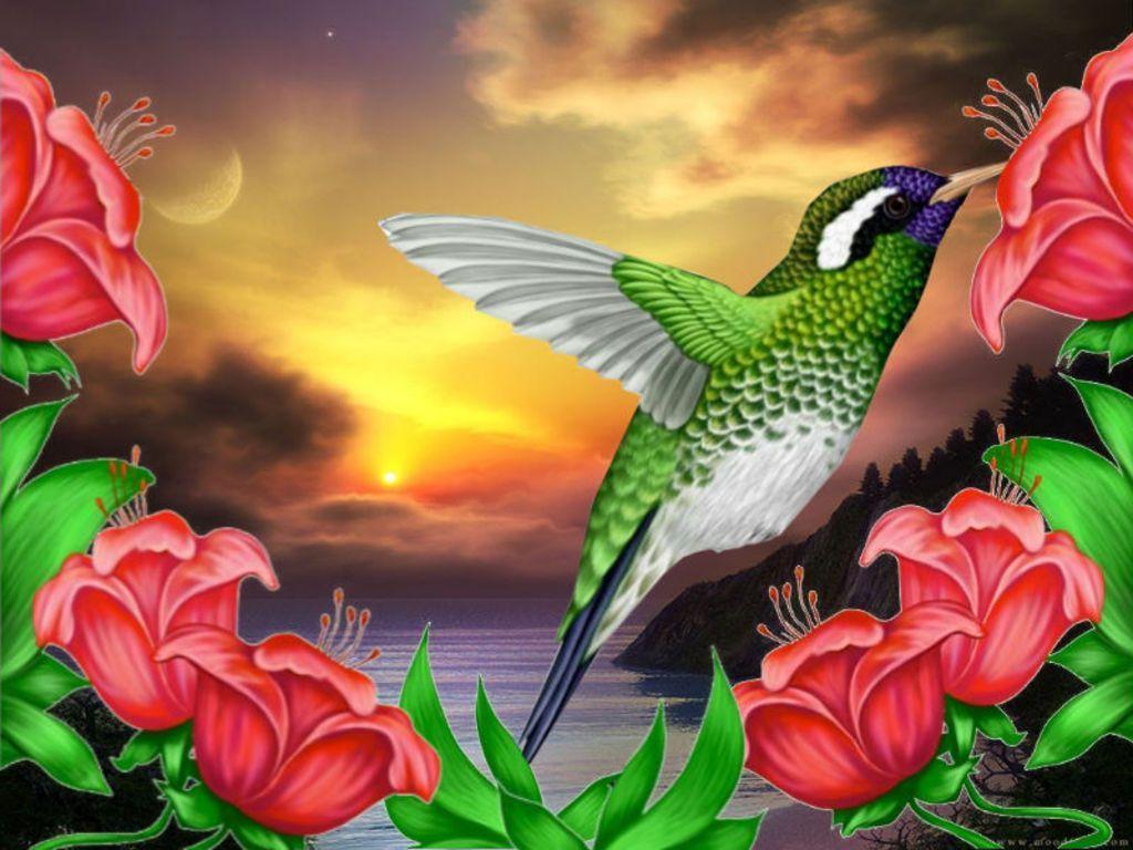 Wallpapers For > Hummingbird Wallpapers Pattern