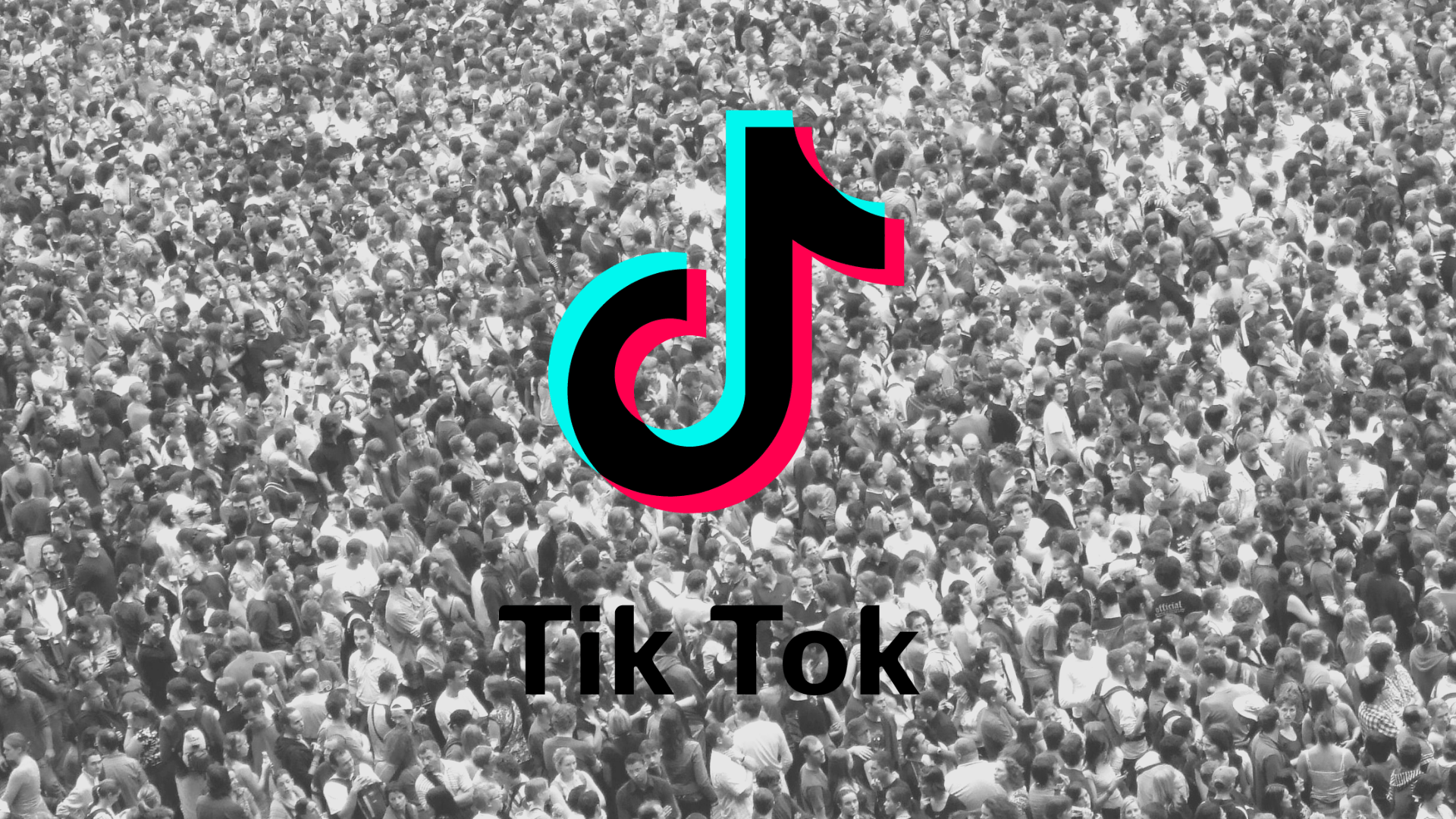 TikTok Wallpapers