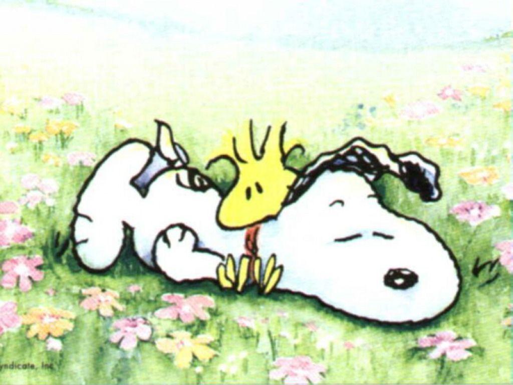 Snoopy wallpapers