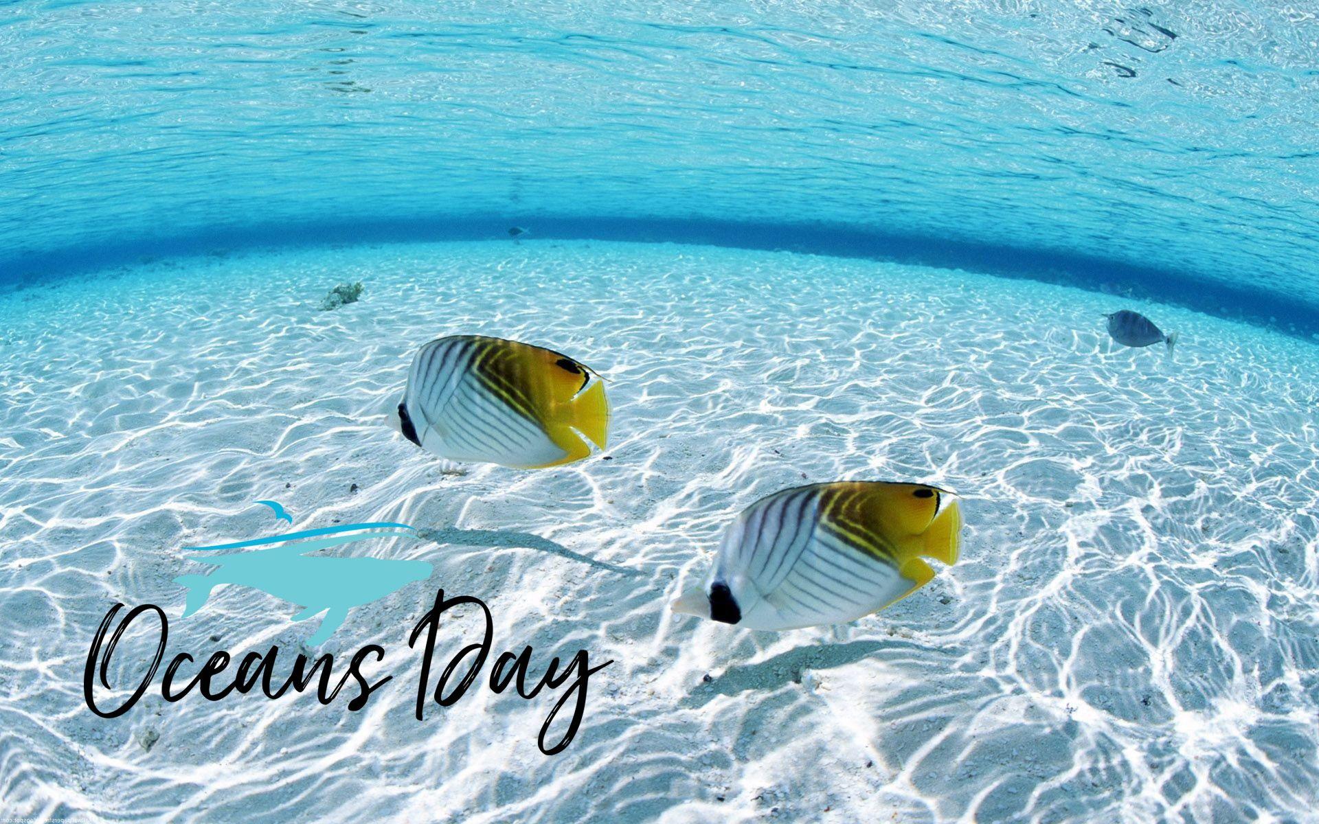 World Oceans Day Wallpapers Free Download