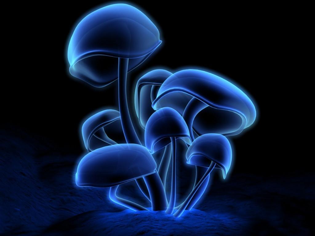 10253 3d mushroom wallpapers