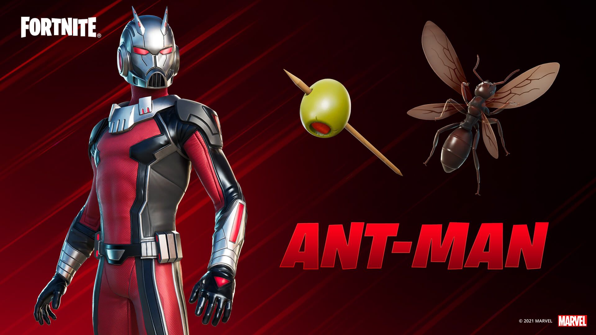 Ant