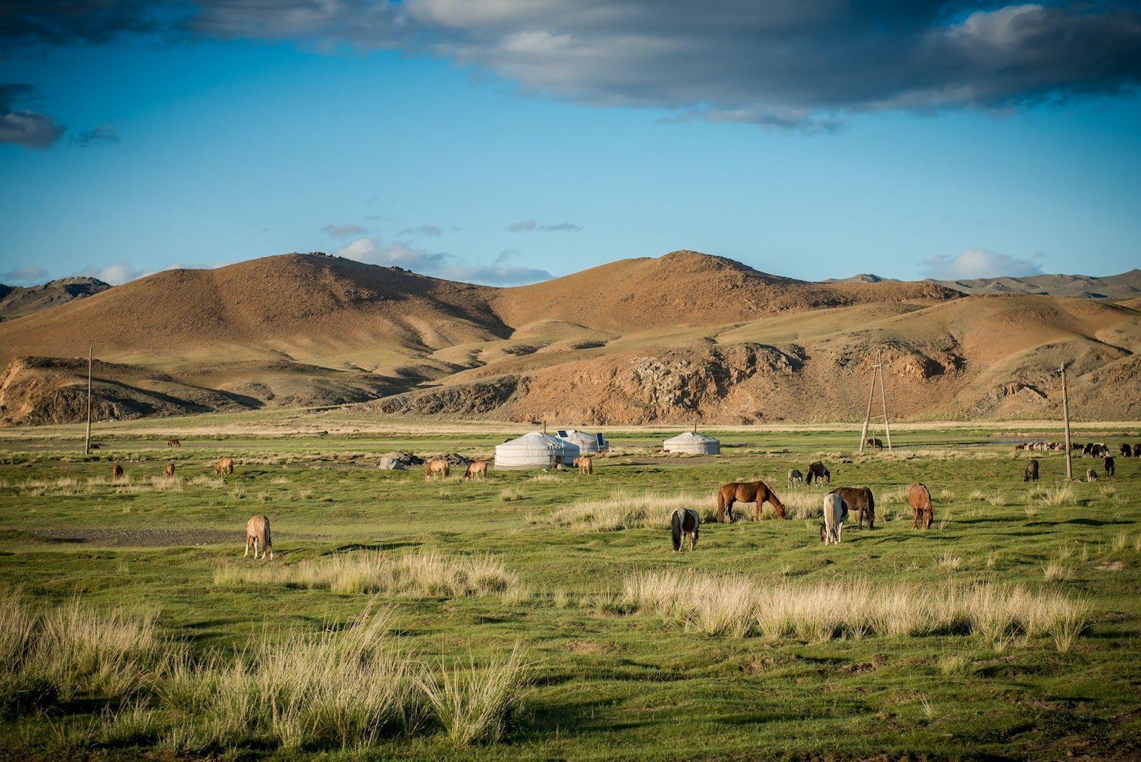 Image For > Mongolian Landscape