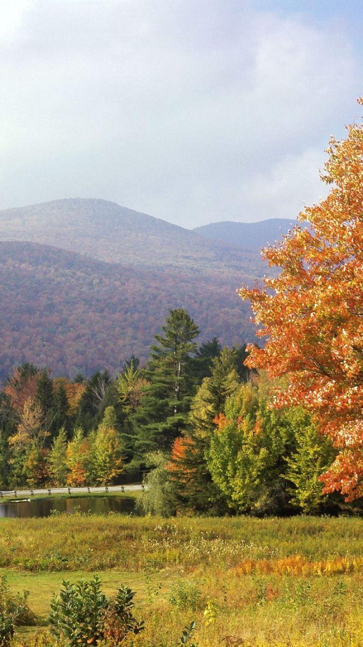 Download Wallpapers Park, Vermont, Trees, Autumn iPhone 6