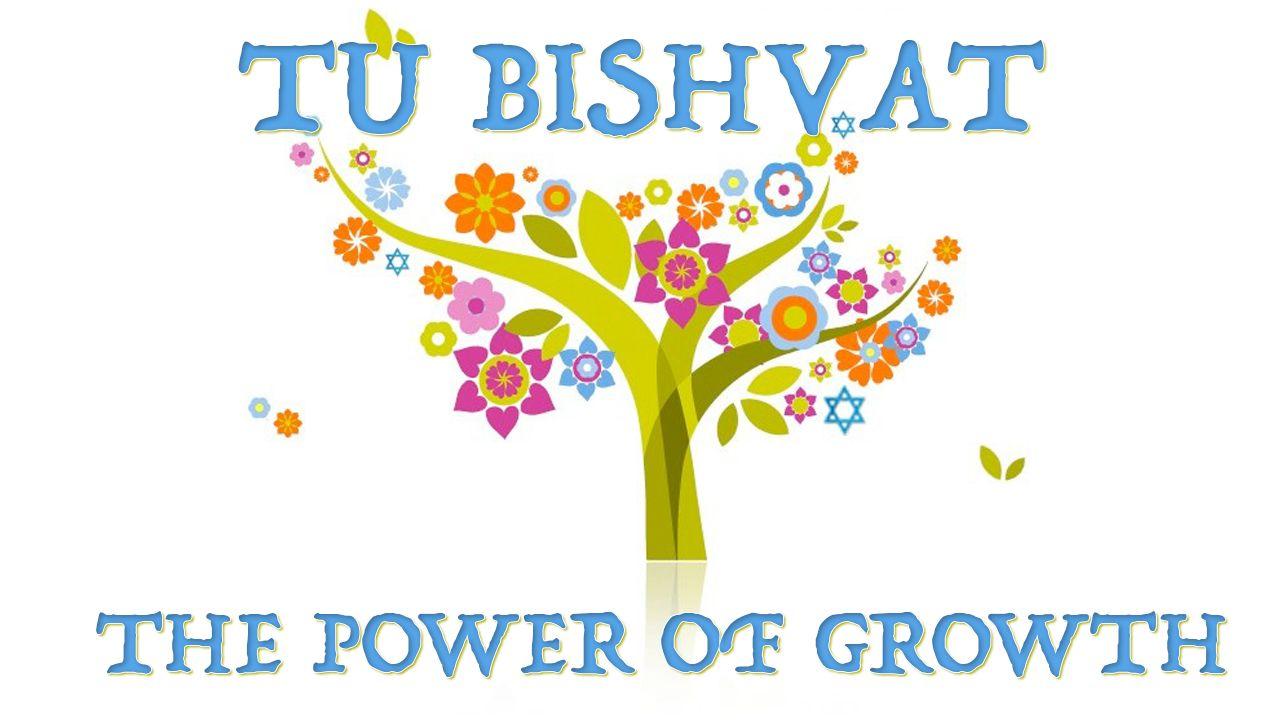 Atzmut – The power of growth – Tu Bishvat