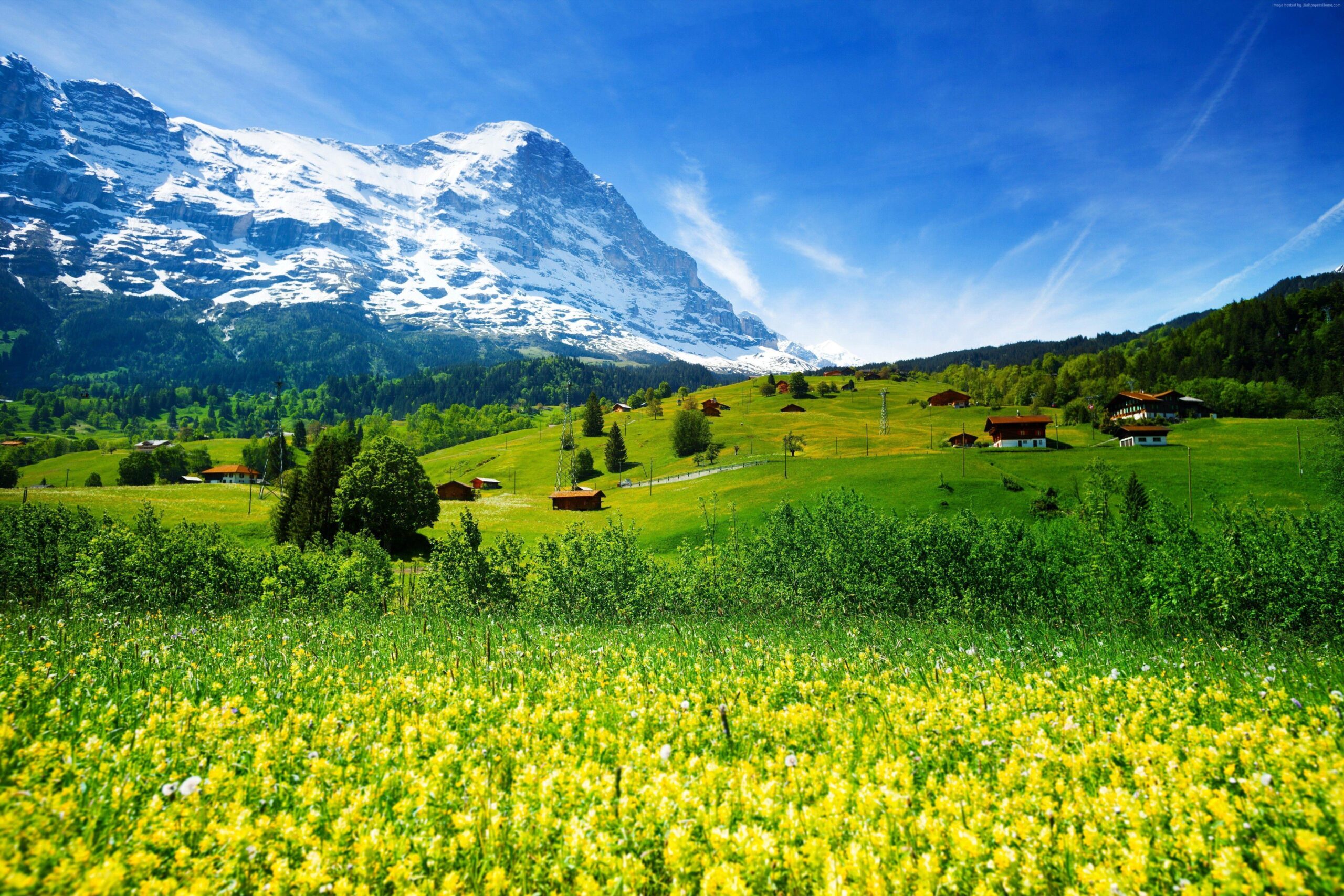 Wallpapers Switzerland, 5k, 4k wallpaper, mountains, meadows