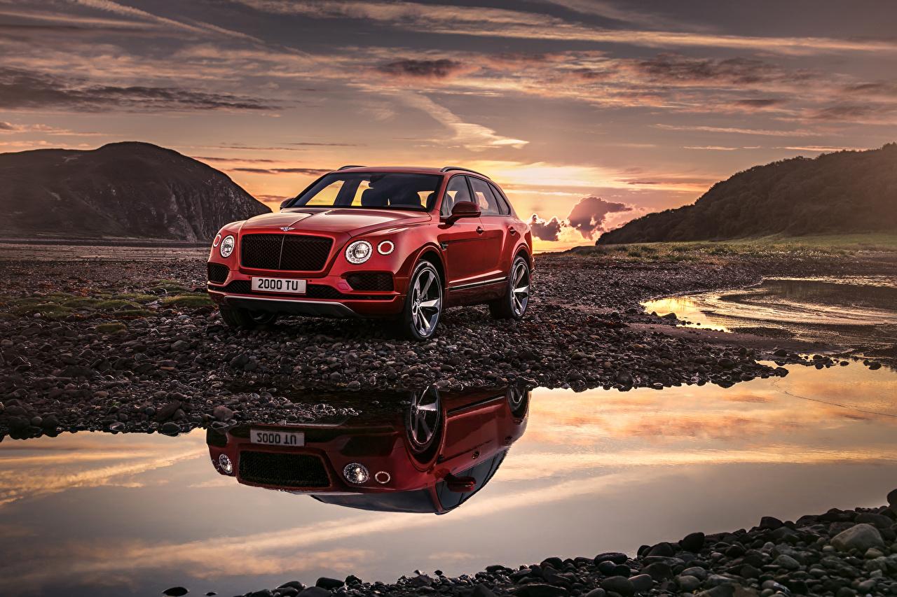 Wallpapers Bentley 2018 Bentayga V8 Worldwide Red Cars