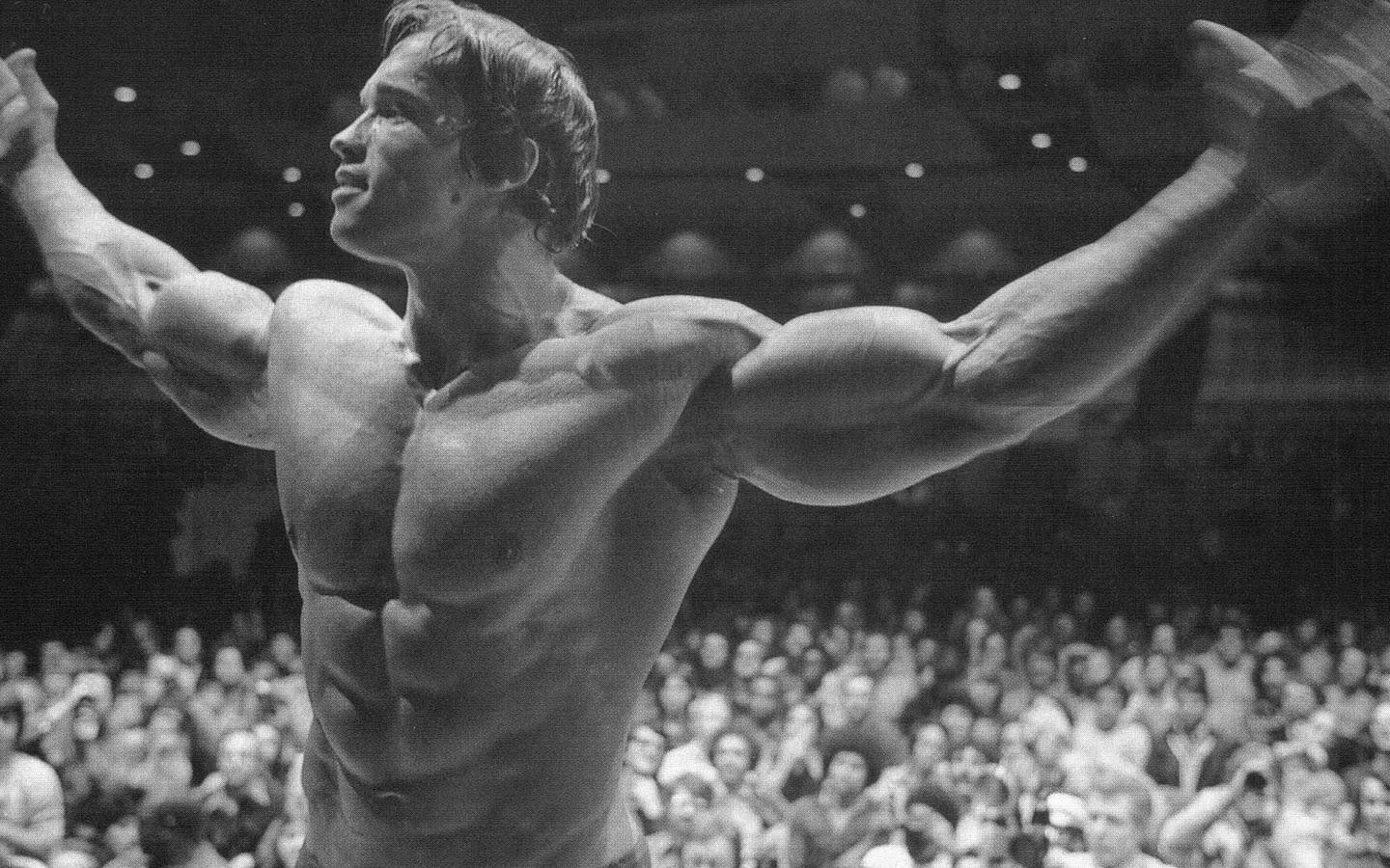 Arnold Schwarzenegger Wallpapers 7