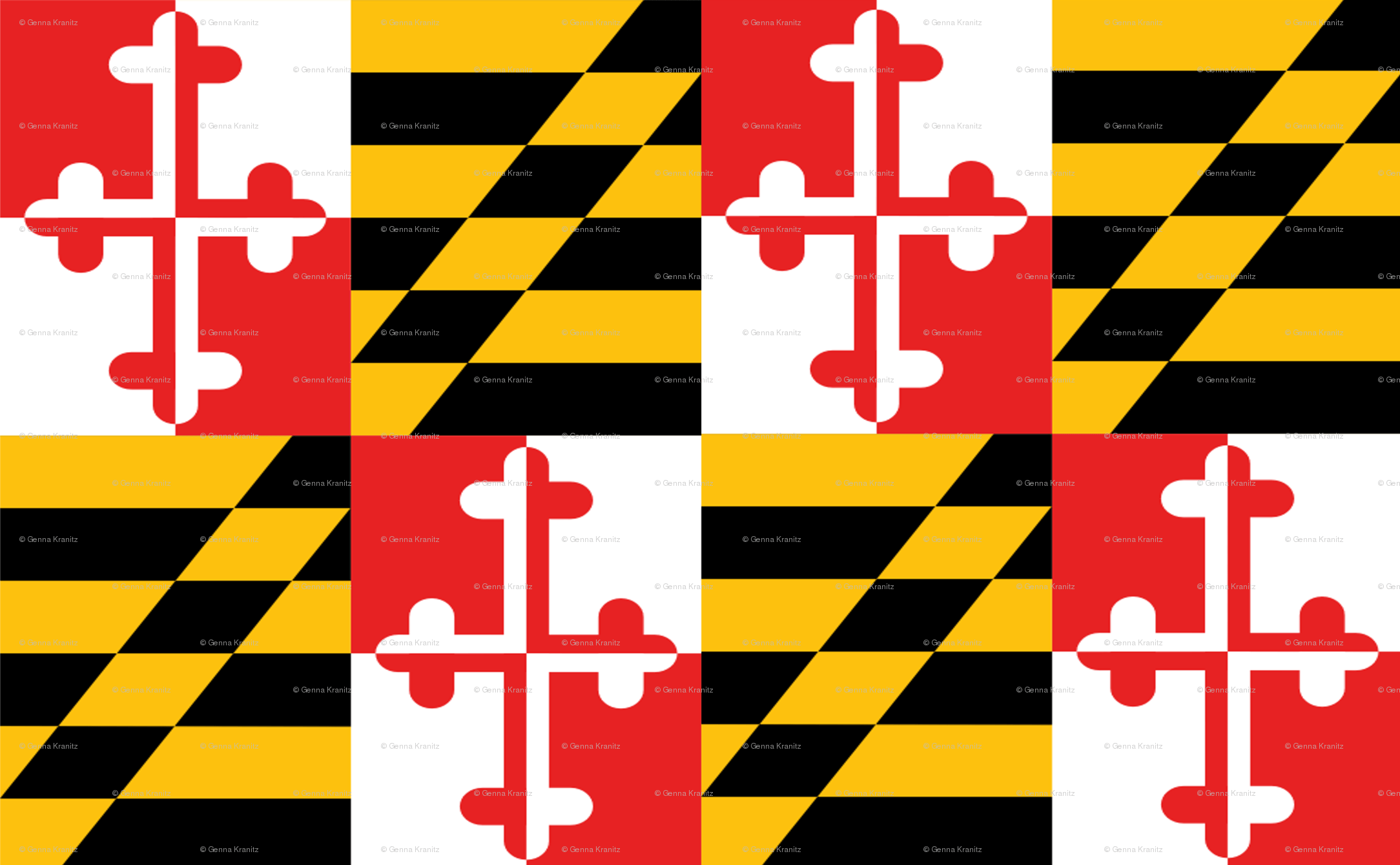 Maryland flag