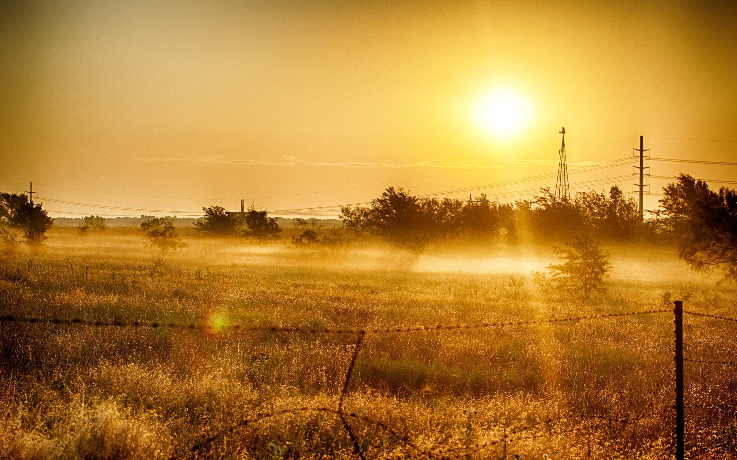 Sunrise Backgrounds