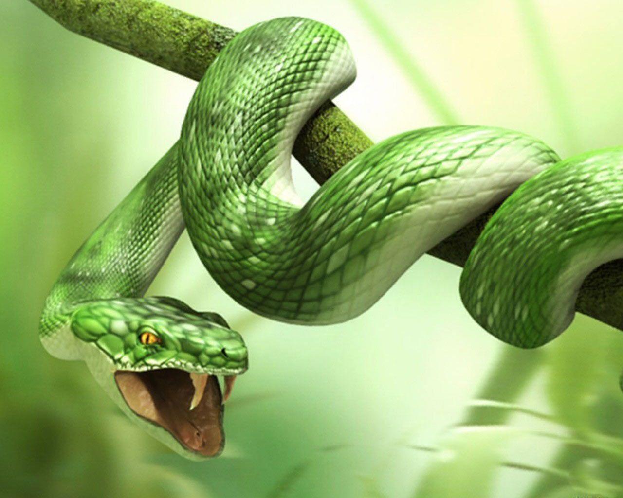 Green 3d Snake HD Wallpapers