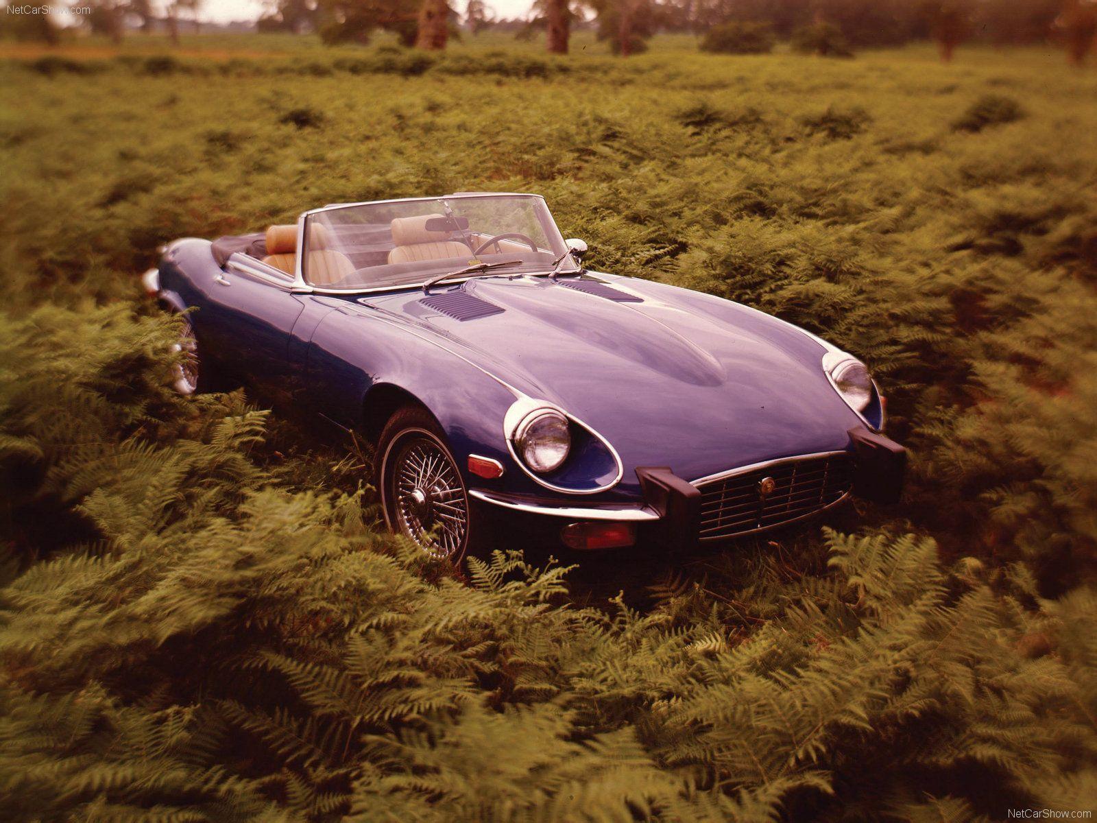 Jaguar e Type Wallpapers 1440×900