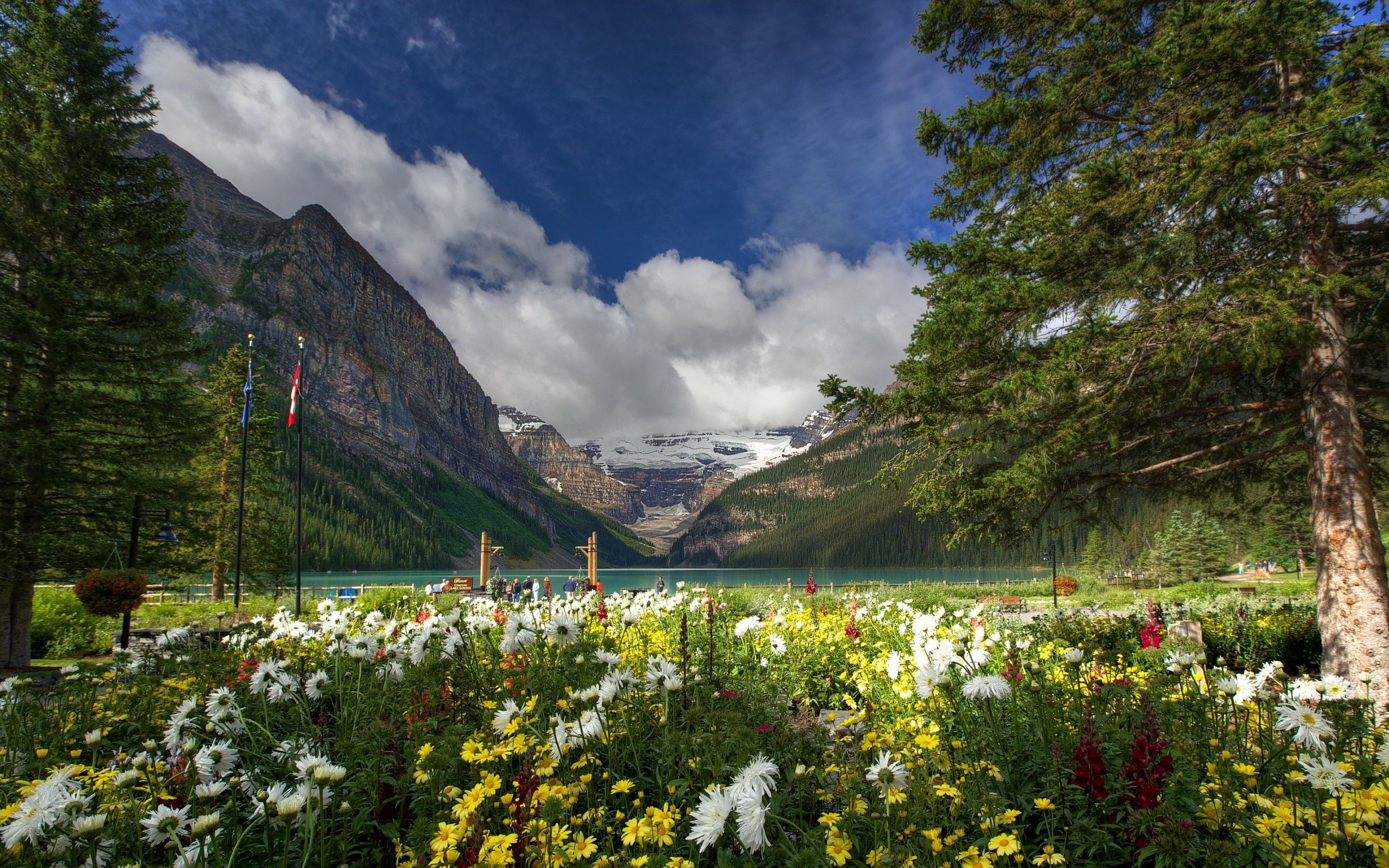 Lake louise banff national park wallpapers