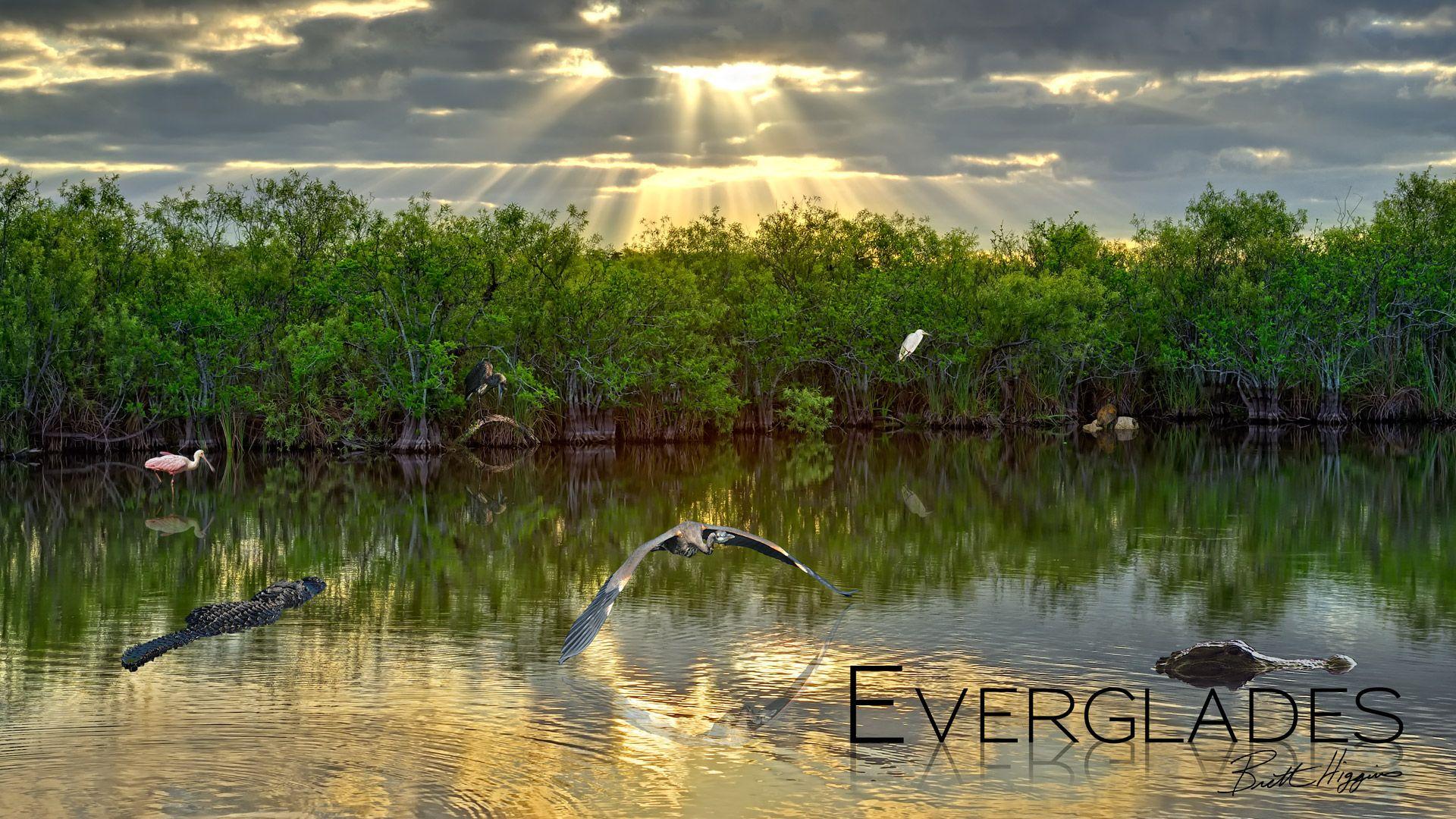 18+ Best HD Everglades National Park Wallpapers