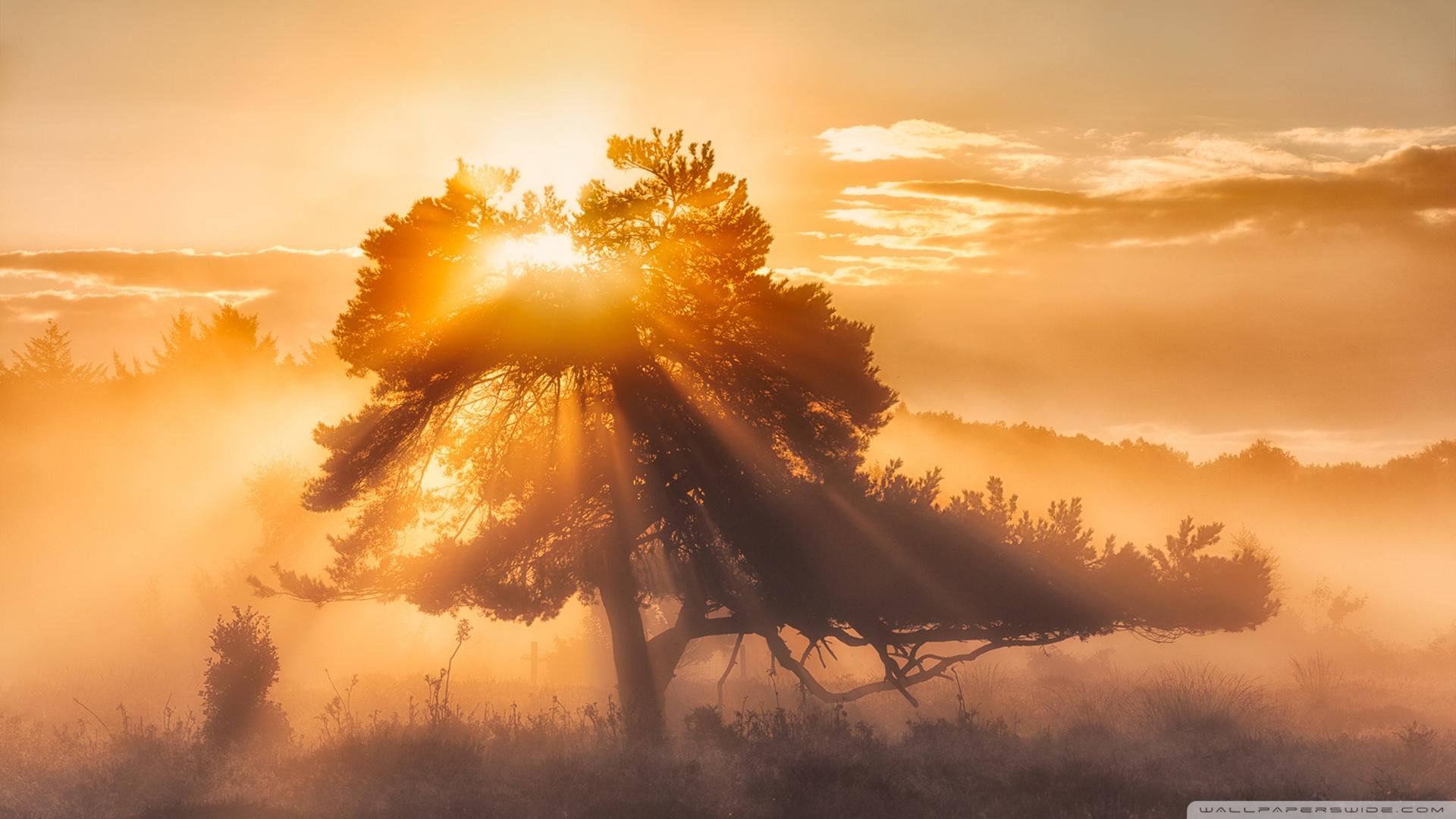 Morning Sun ❤ 4K HD Desktop Wallpapers for 4K Ultra HD TV • Tablet