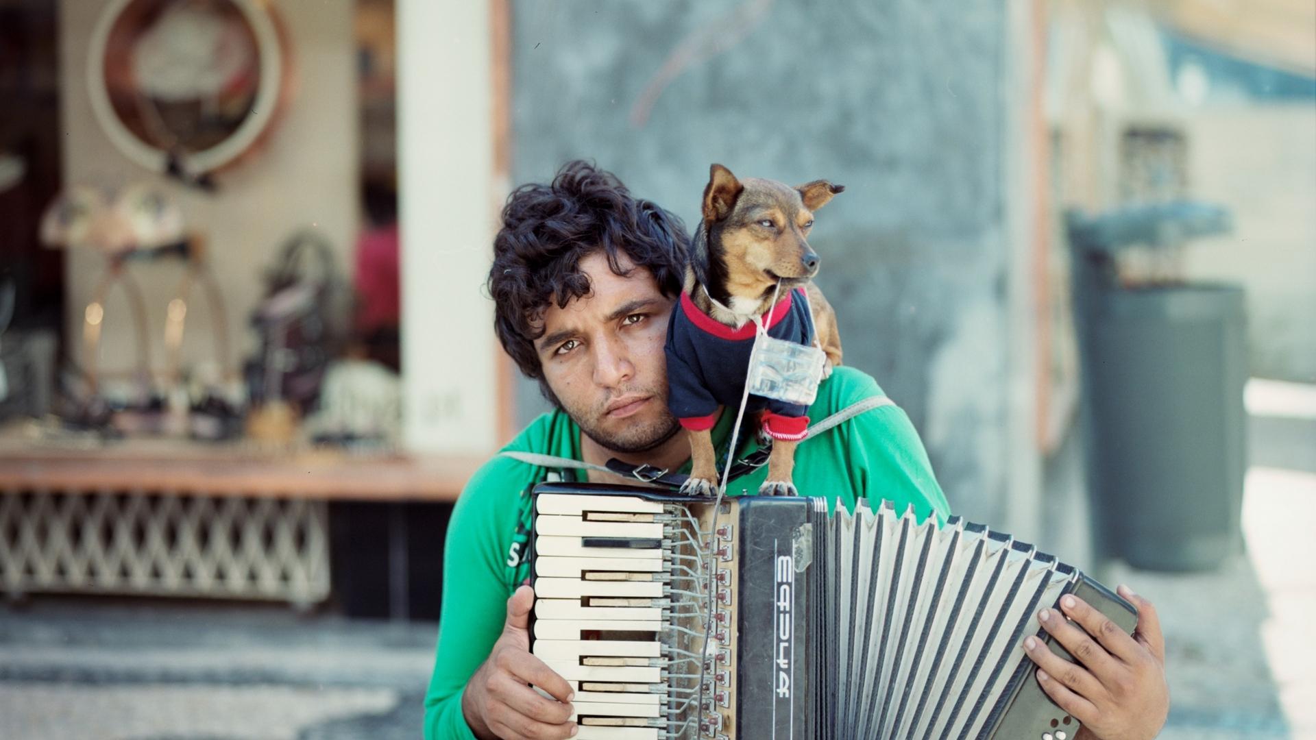 Download wallpapers musician, accordion, dog, street