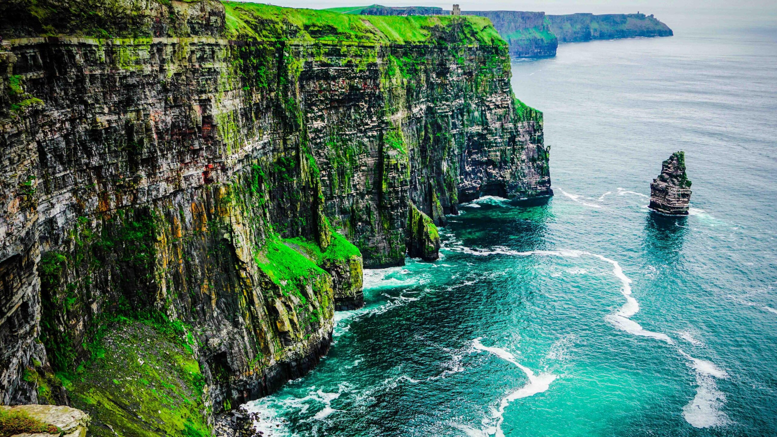 Cliffs of Moher in County Clare, Ireland