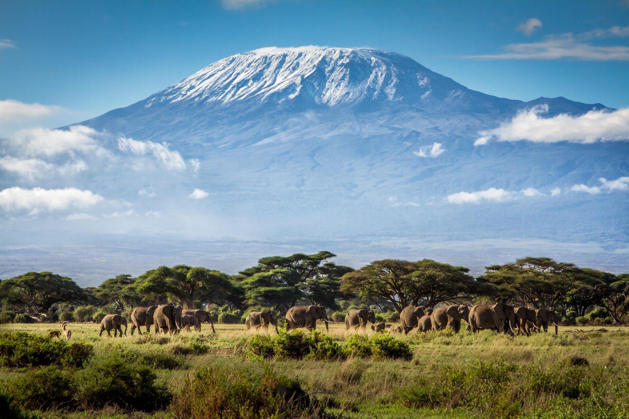 14 Mount Kilimanjaro HD wallpapers