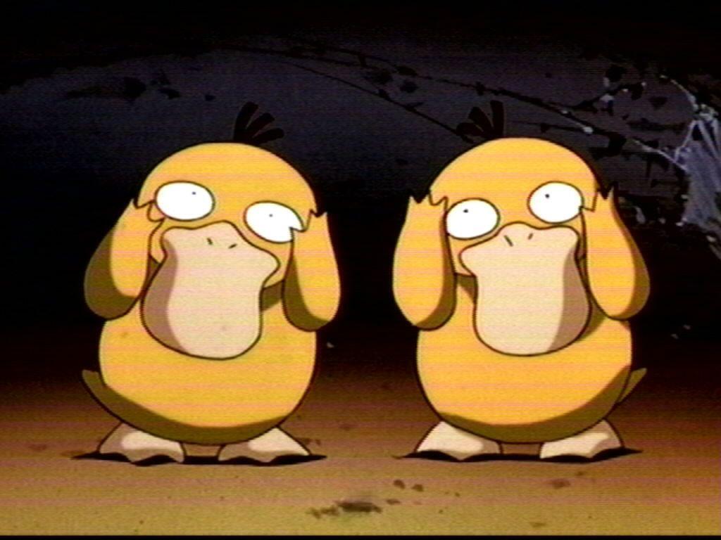 Psyduck image Psyduck HD wallpapers and backgrounds photos