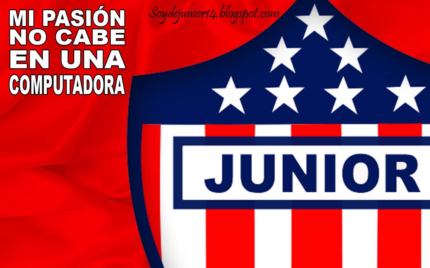 JUNIOR MANDA