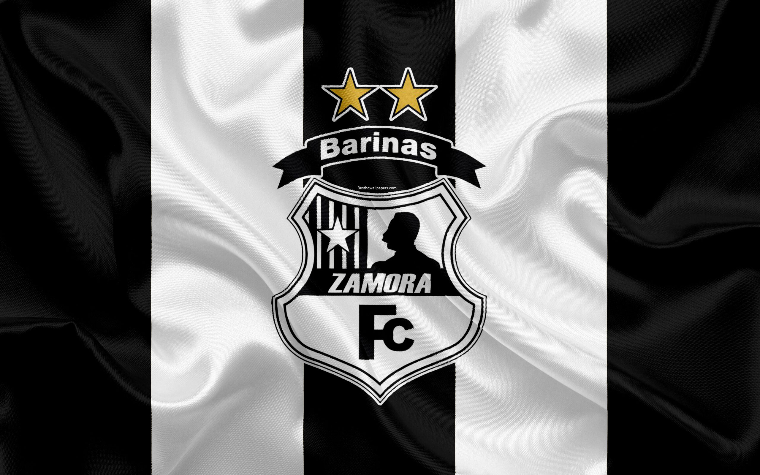 Download wallpapers Zamora FC, 4k, Venezuelan football club, logo