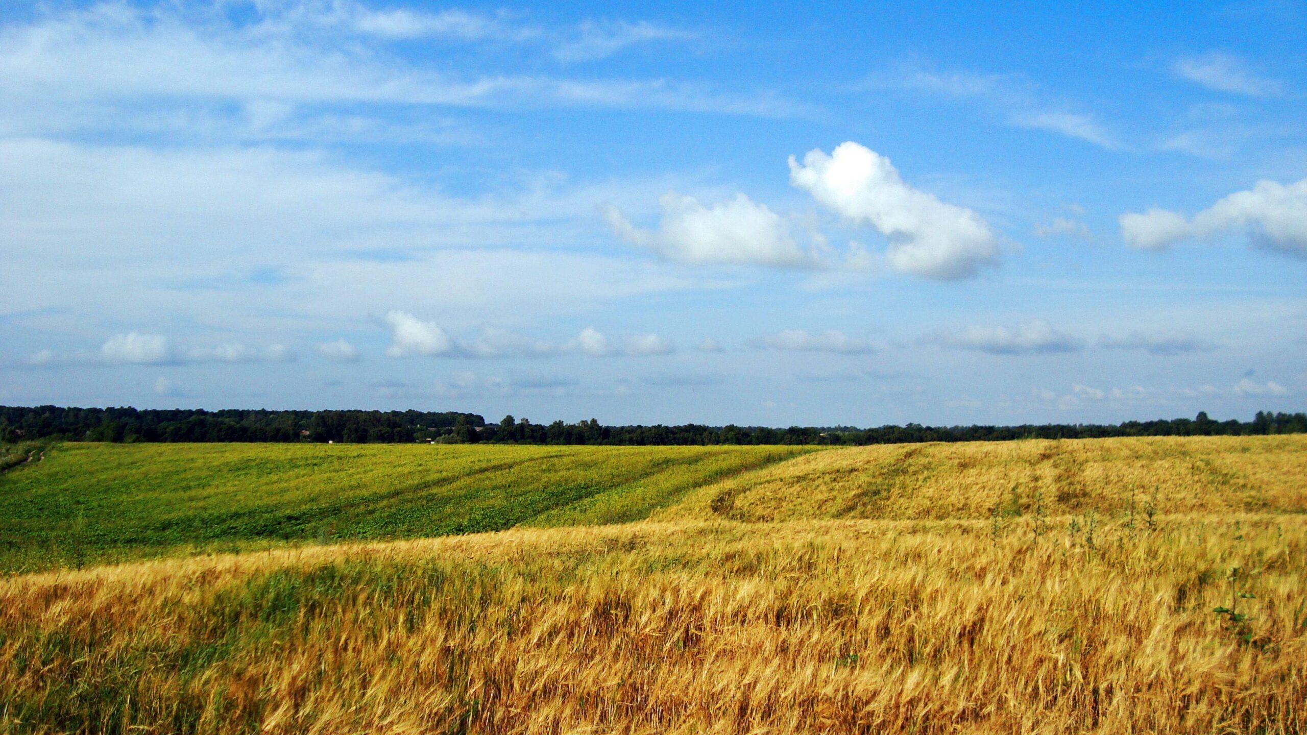 Ukraine Desktop Wallpapers