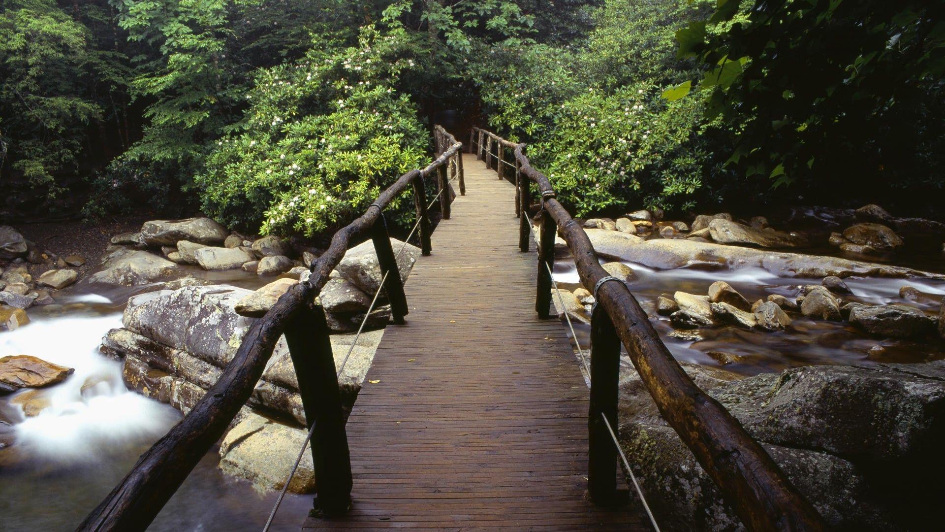 Great Smoky Mountains National Park Wallpapers