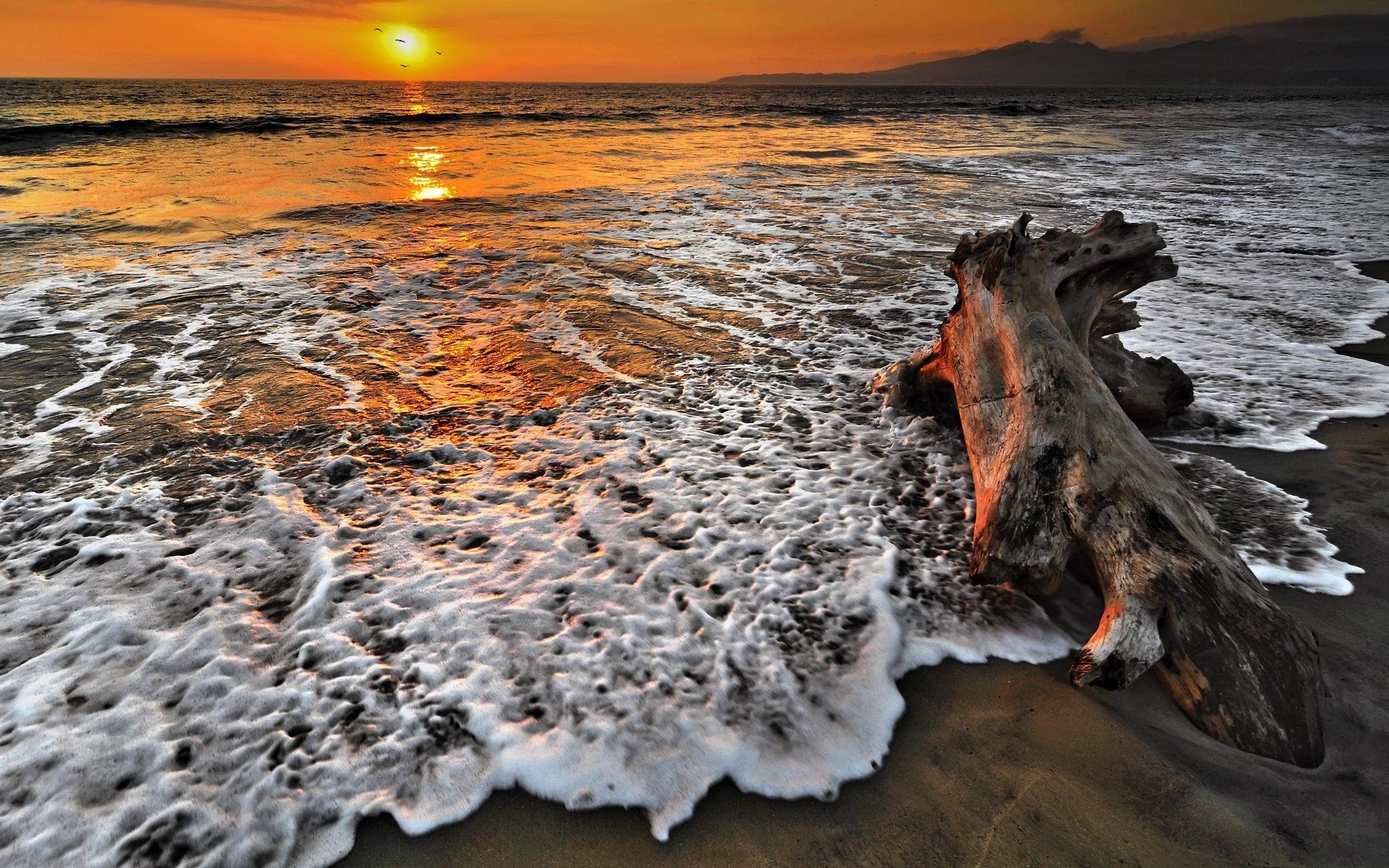 Puerto Vallarta HD Wallpapers