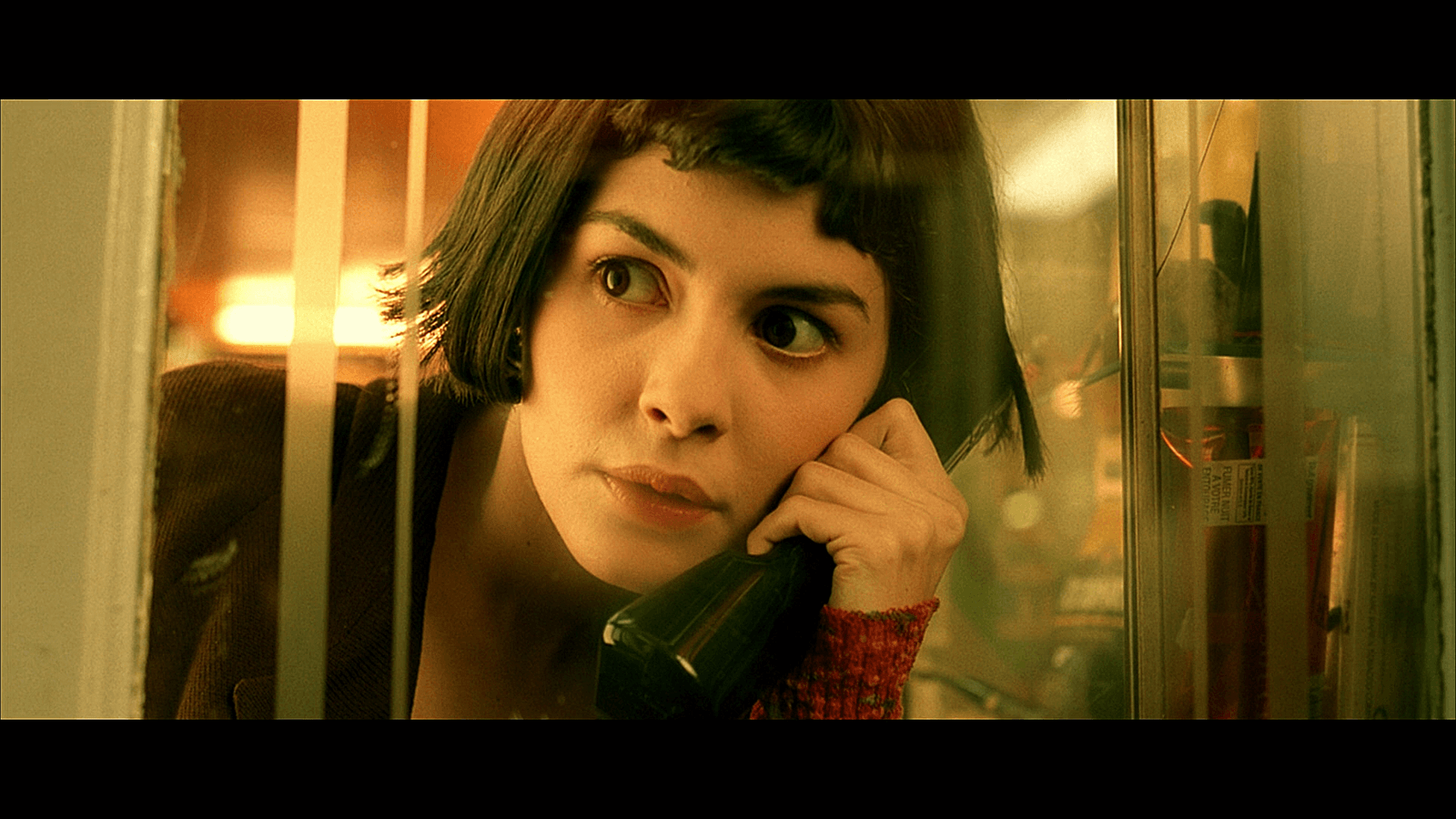 amelie poulain