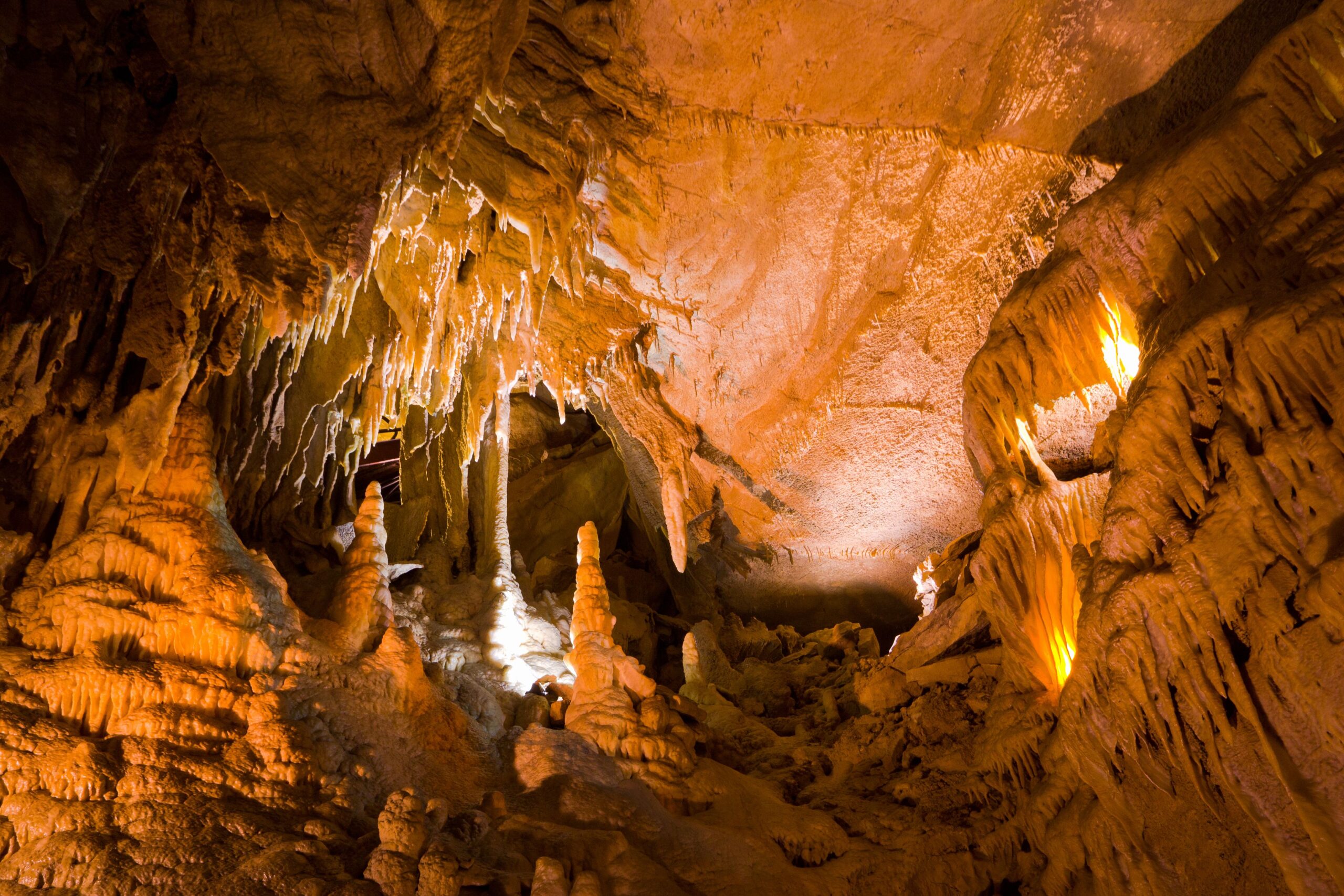 50 Awesome Gallery Mammoth Cave National Park Poster