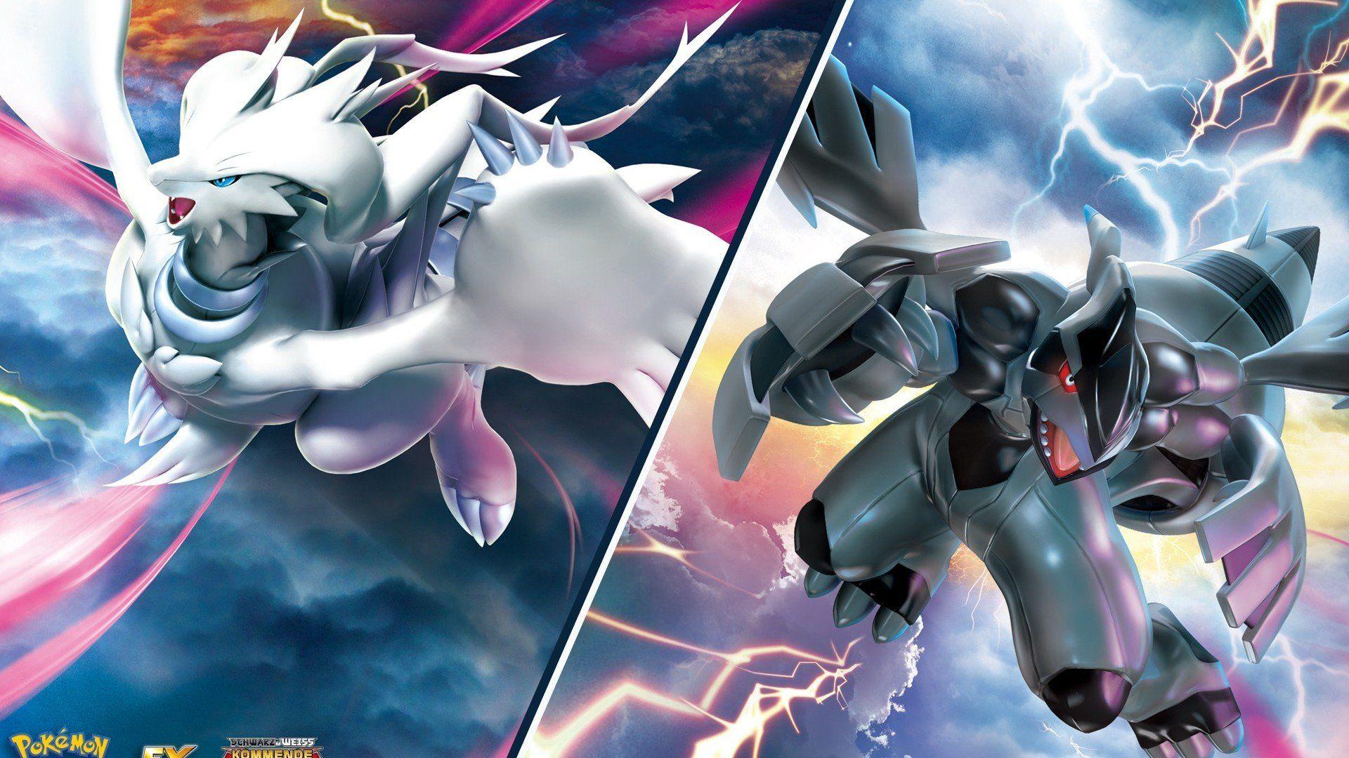 Pokemon Zekrom Vs Reshiram Wallpapers