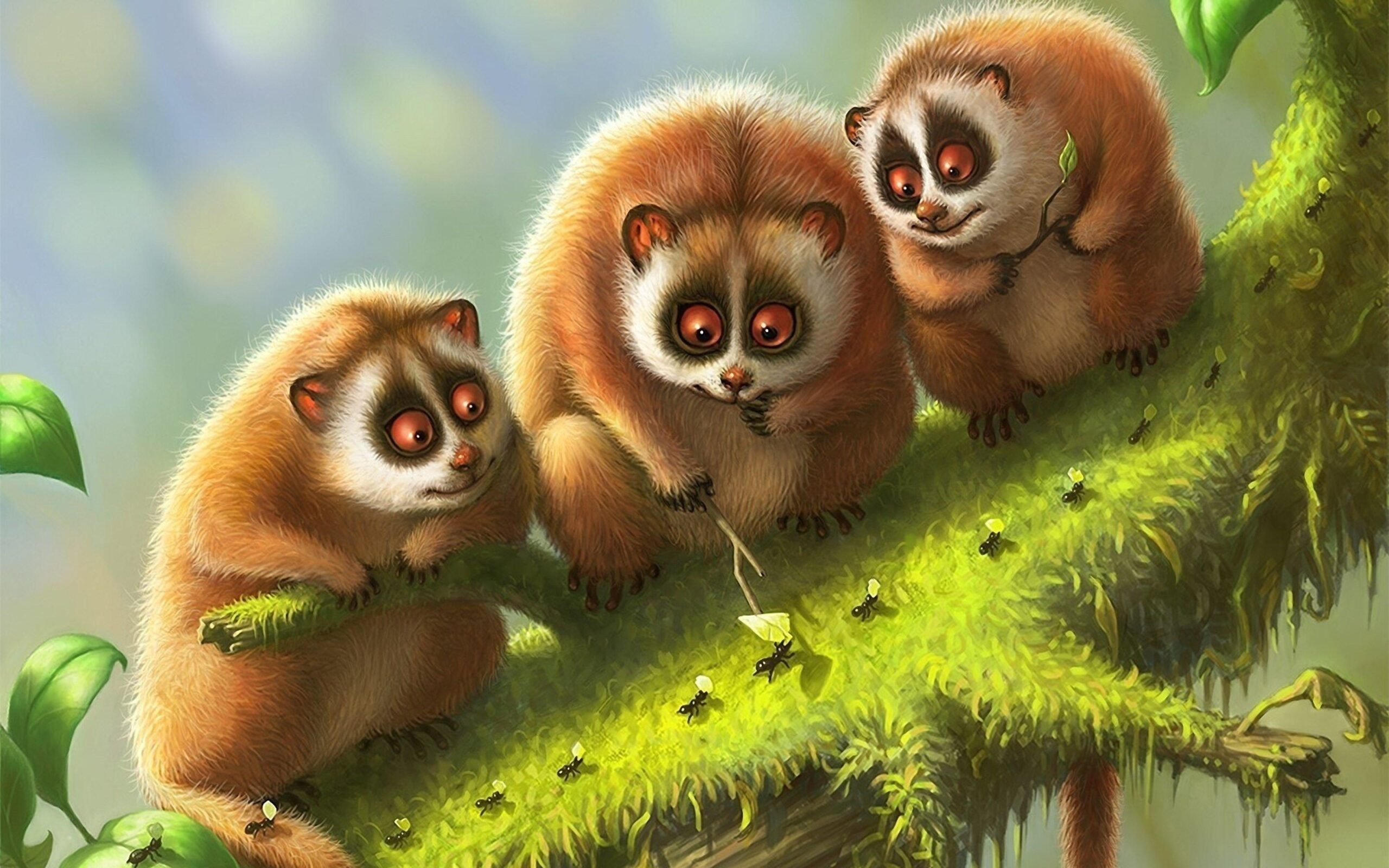 Download Wallpapers Lemur, Lemurs, Branch, Animals, Moss