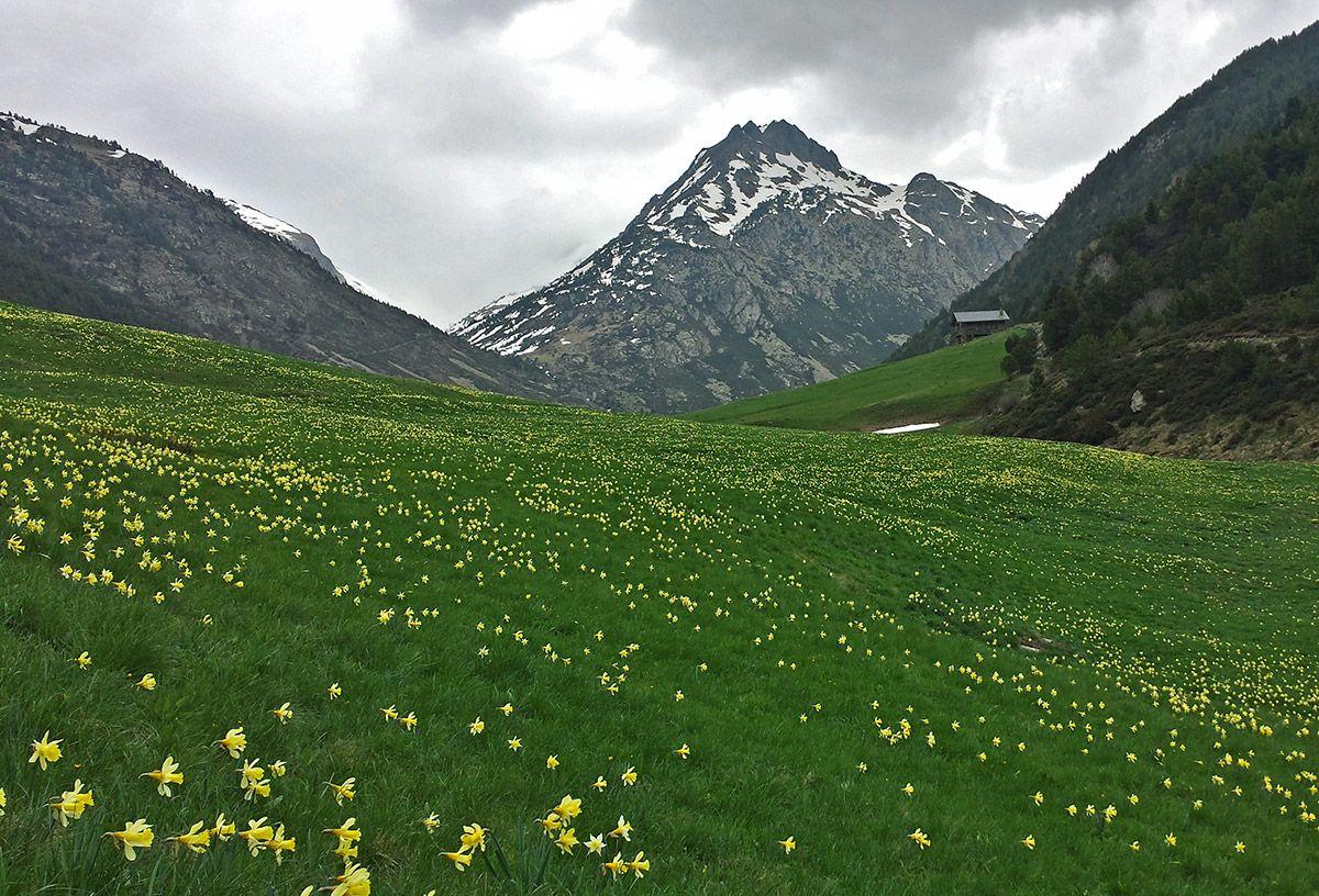 Andorra