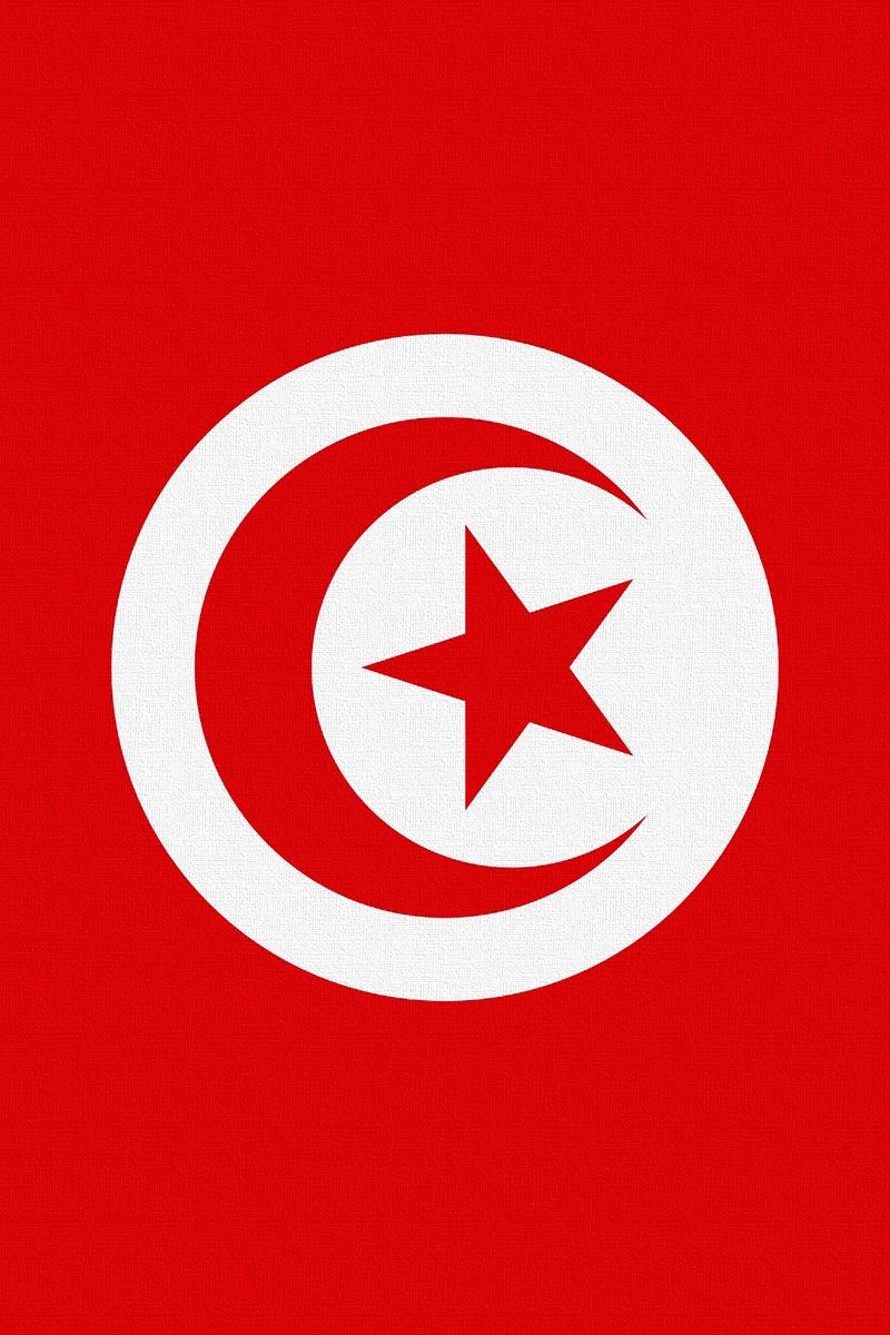 Download wallpapers tunisia, flag, star, symbols iphone 4s/4