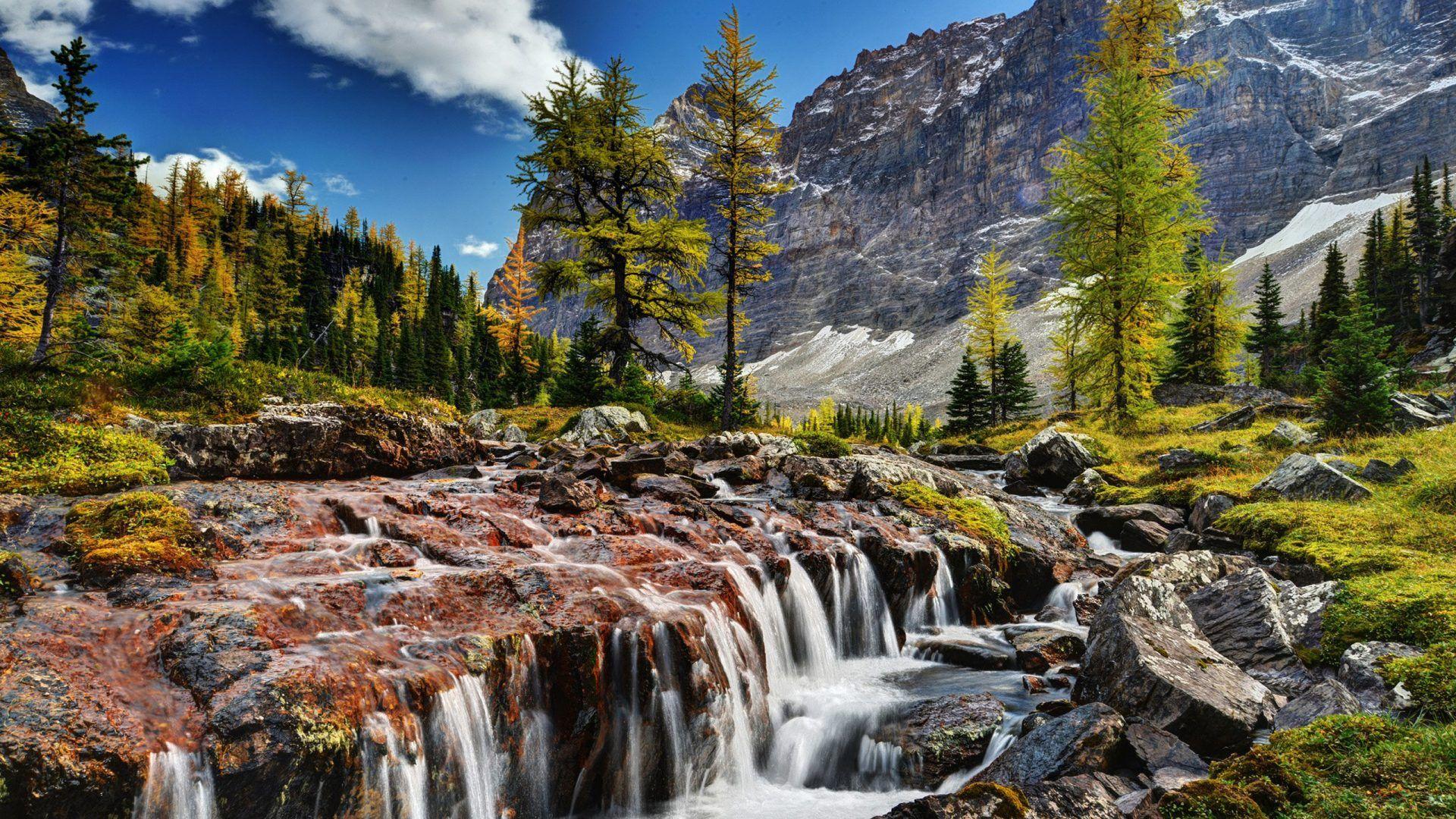 Beautiful Scenery Mountain River Rocks Rocky Mountain Pine Shua