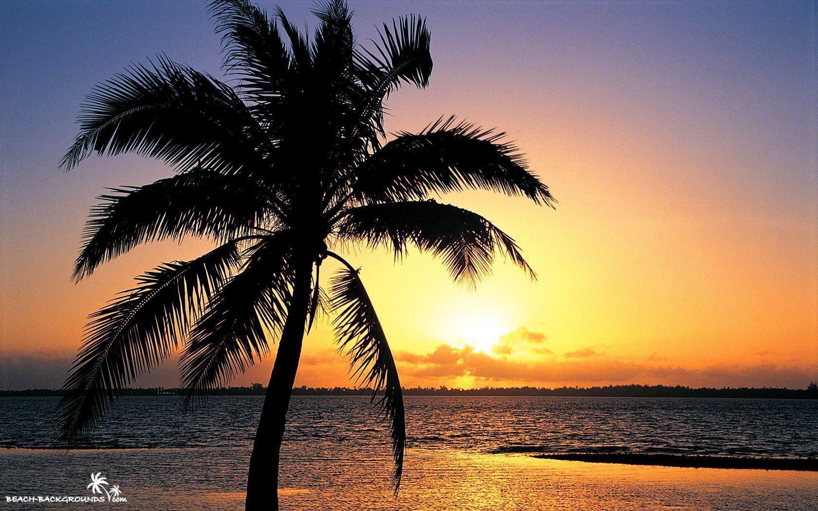 Beach Sunset Backgrounds 33170 Hd Wallpapers in Beach n Tropical