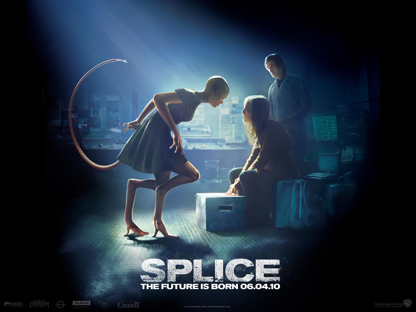 Splice Wallpapers