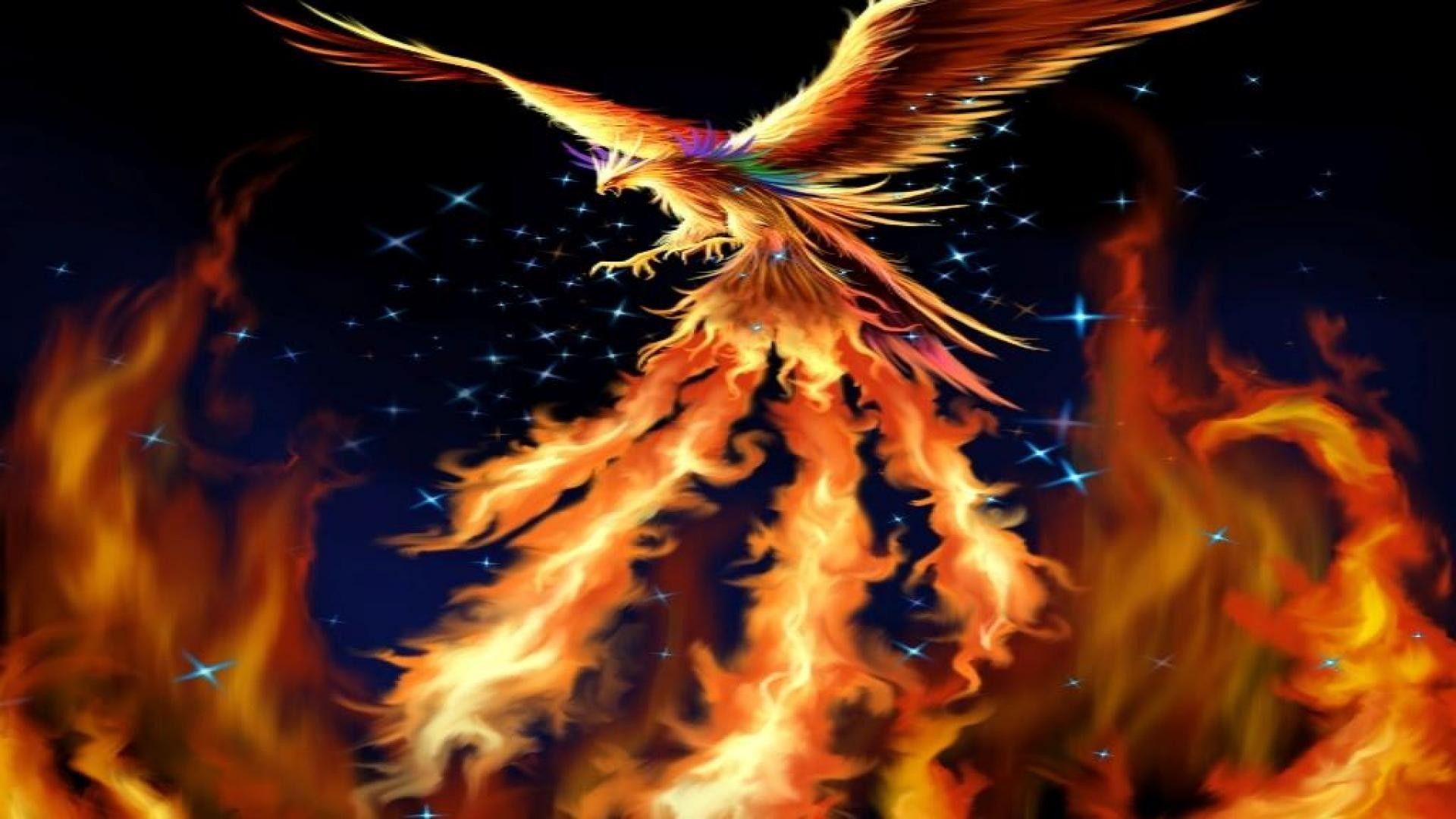 Phoenix Wallpapers