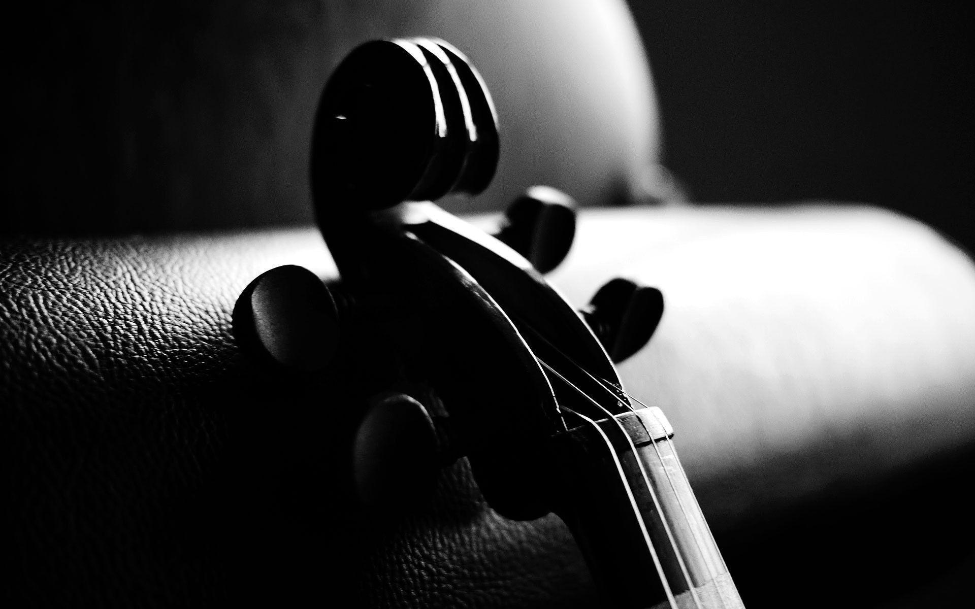 Violin Is An Instrument Wallpapers HD 8715 Wallpapers