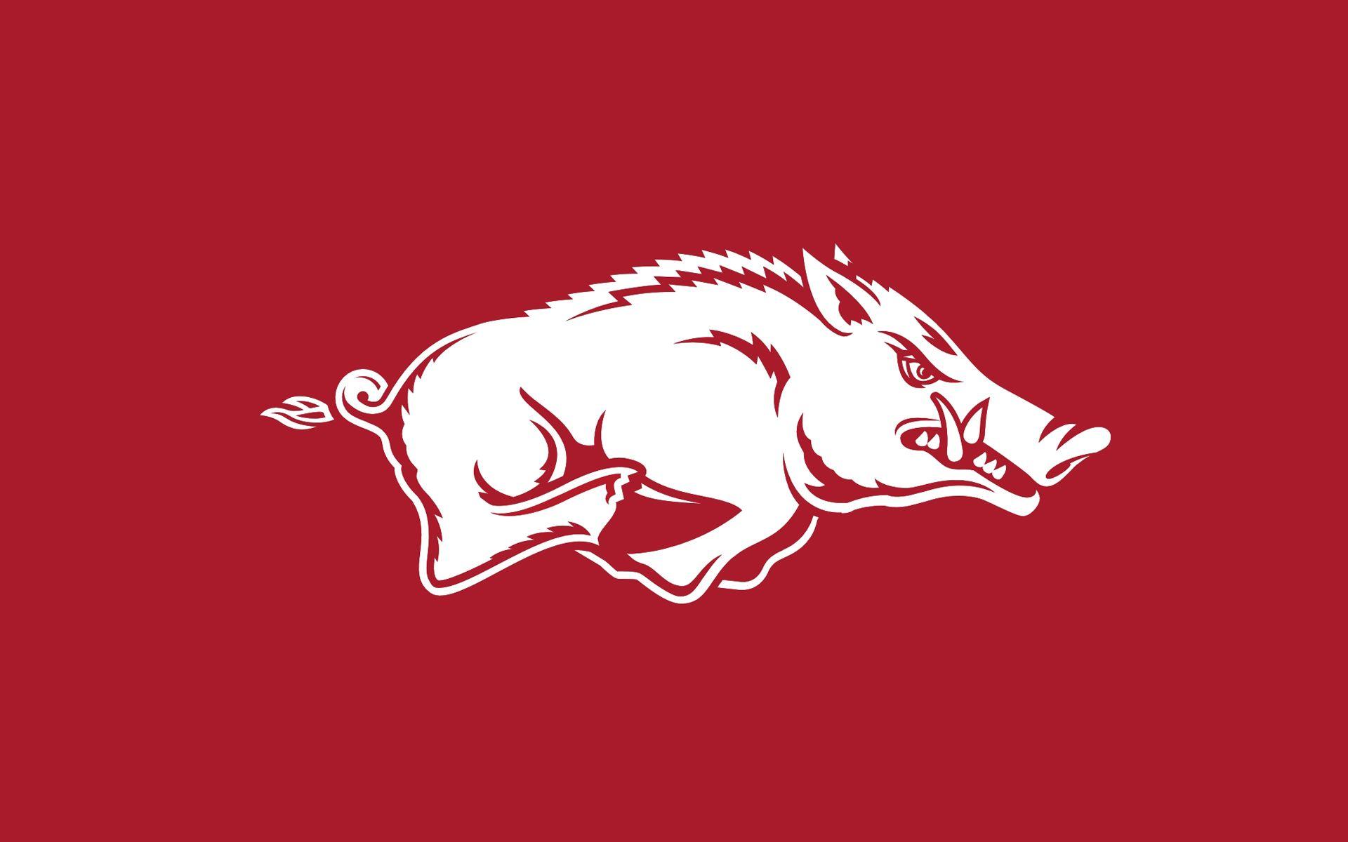 Razorback Wallpapers Free