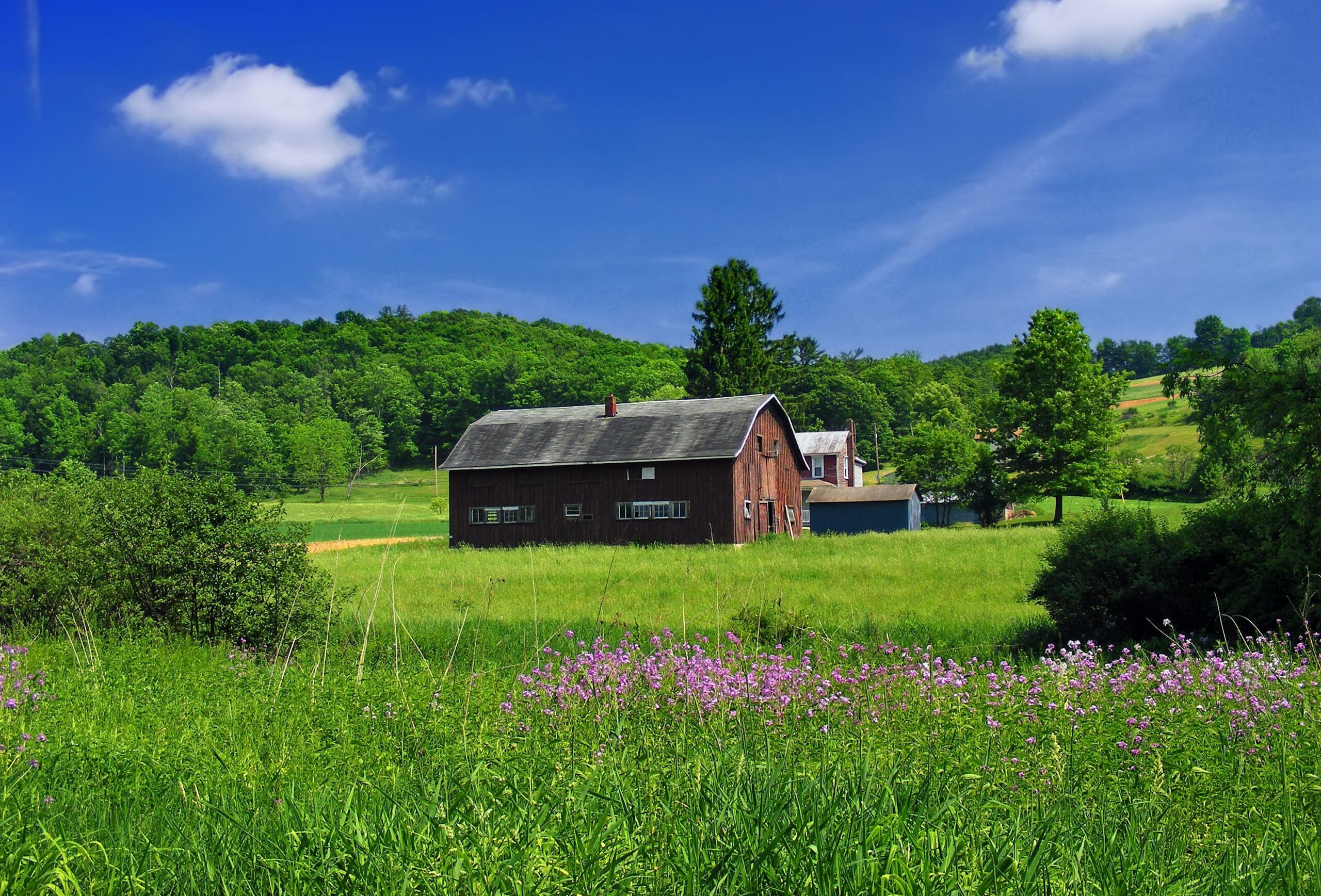 Picture Pennsylvania USA Benton Township Columbia County