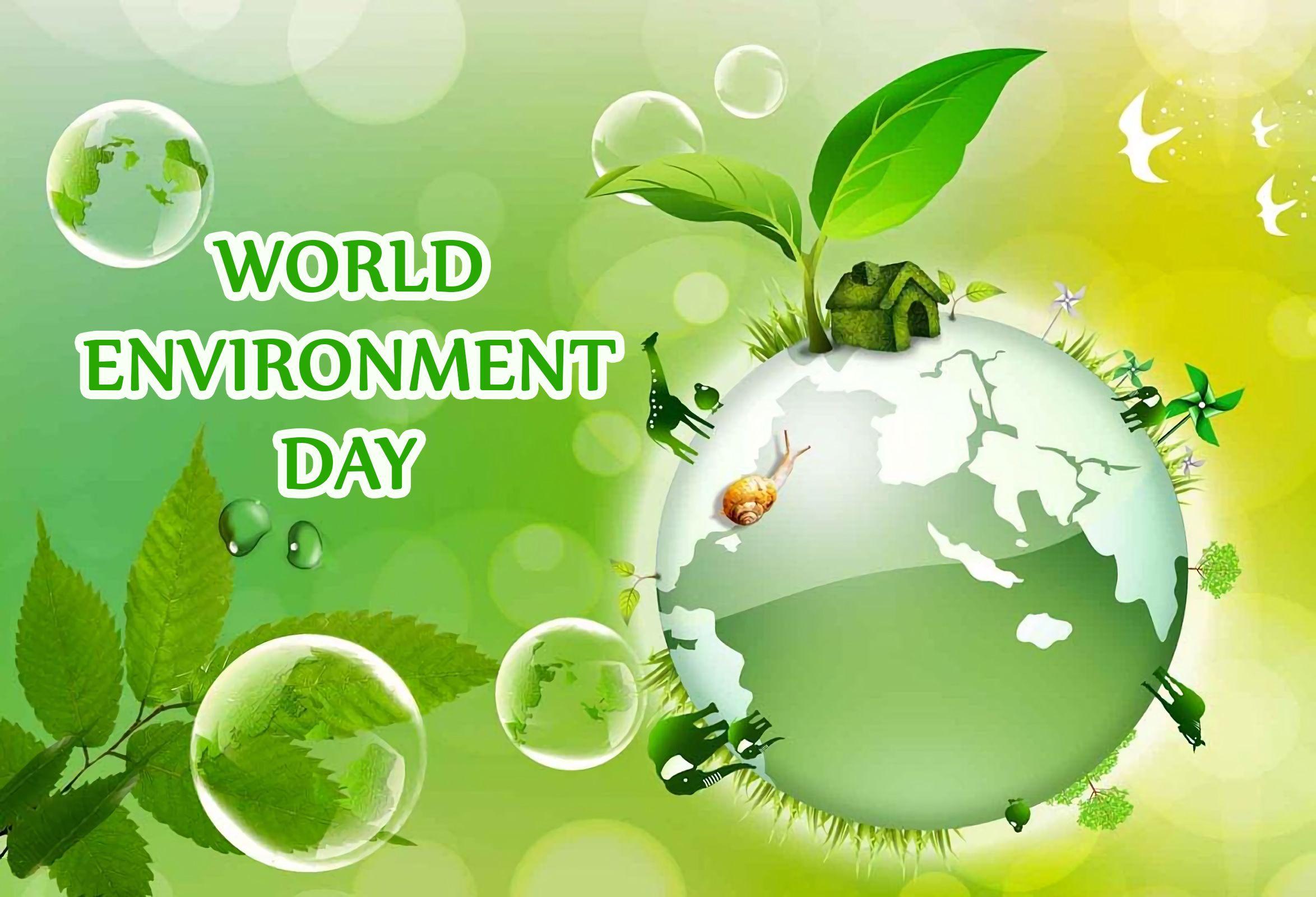 World Environment Day Hd Wallpapers