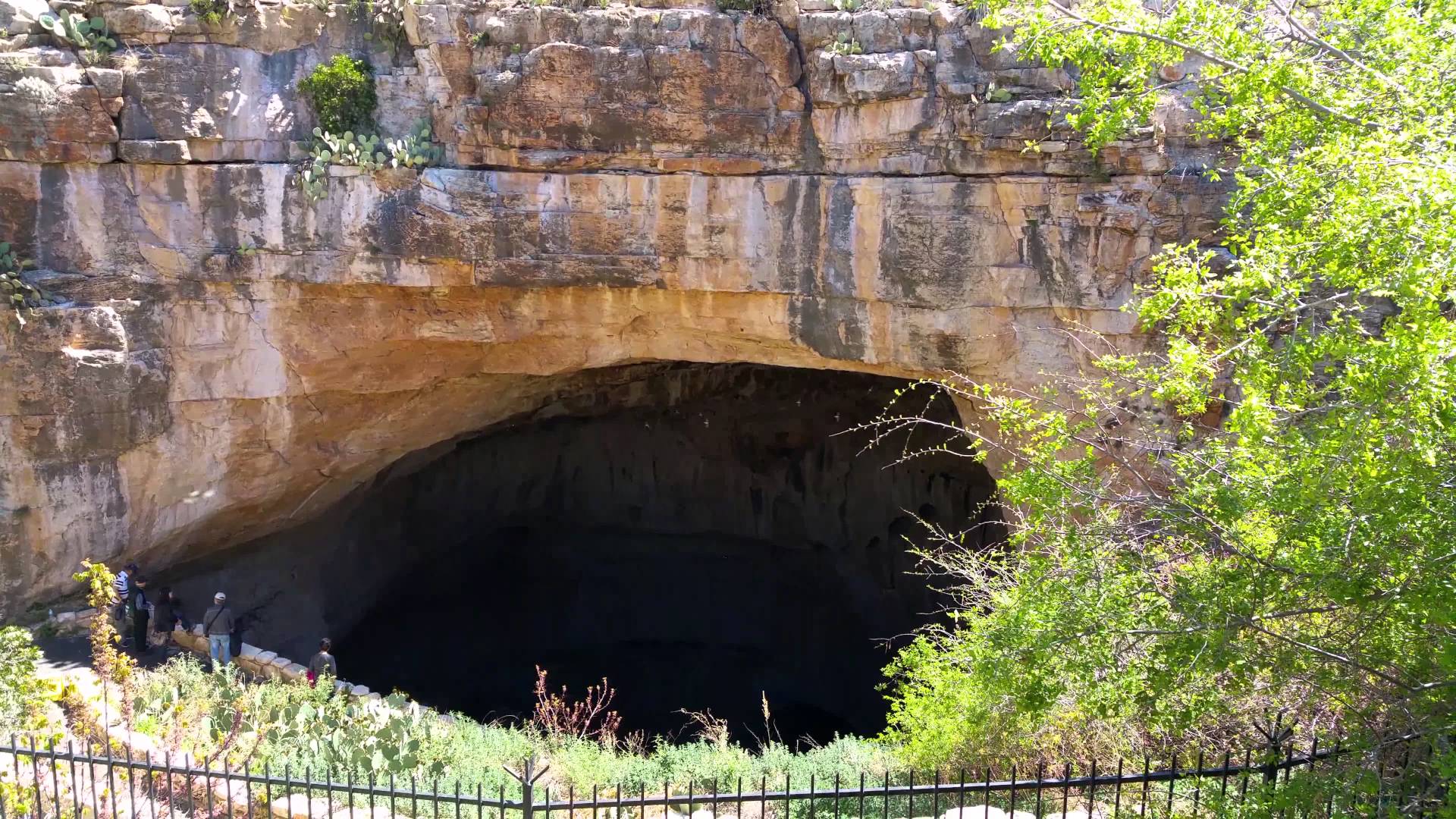 Carlsbad Caverns National Park